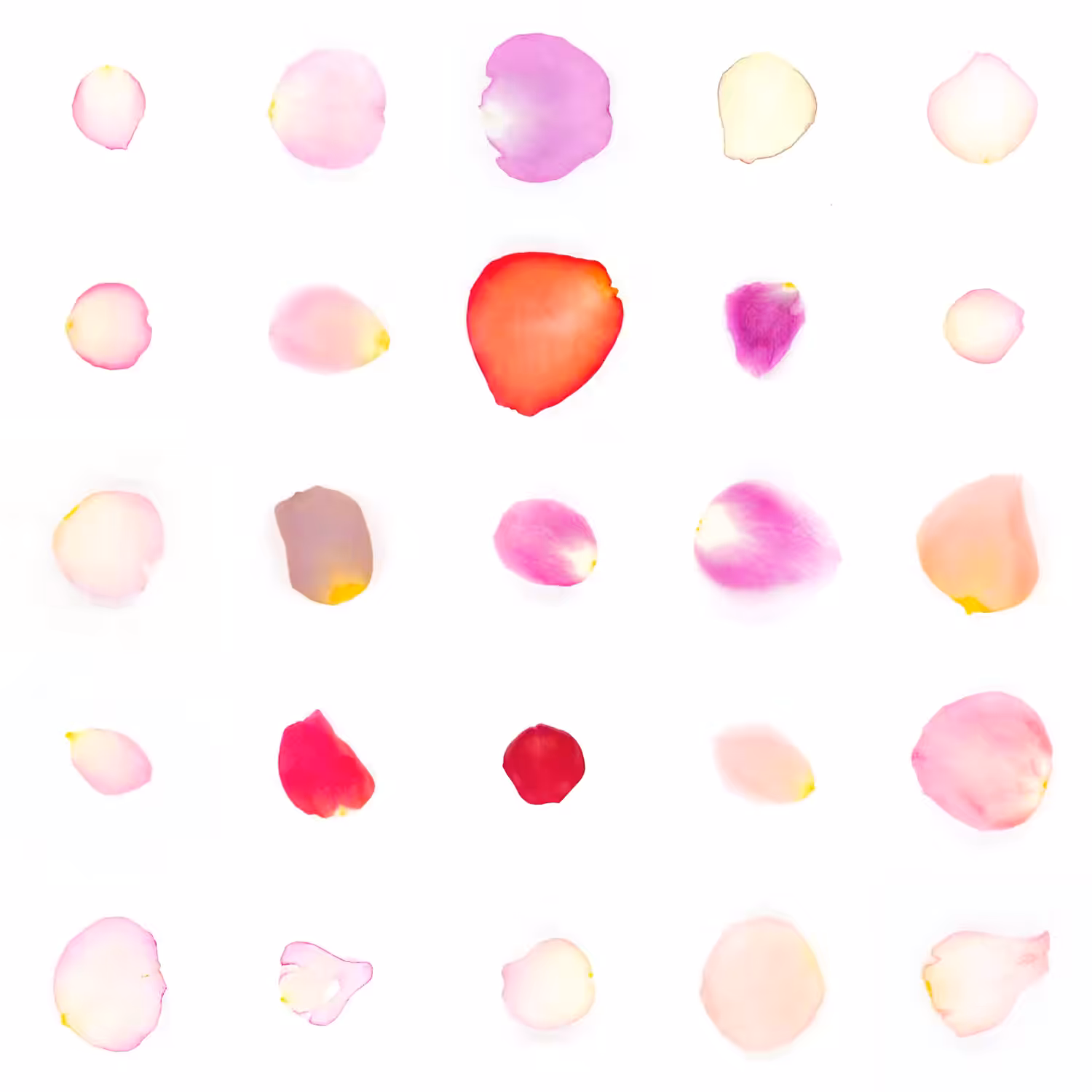 Infinite Petals 5x5#21250