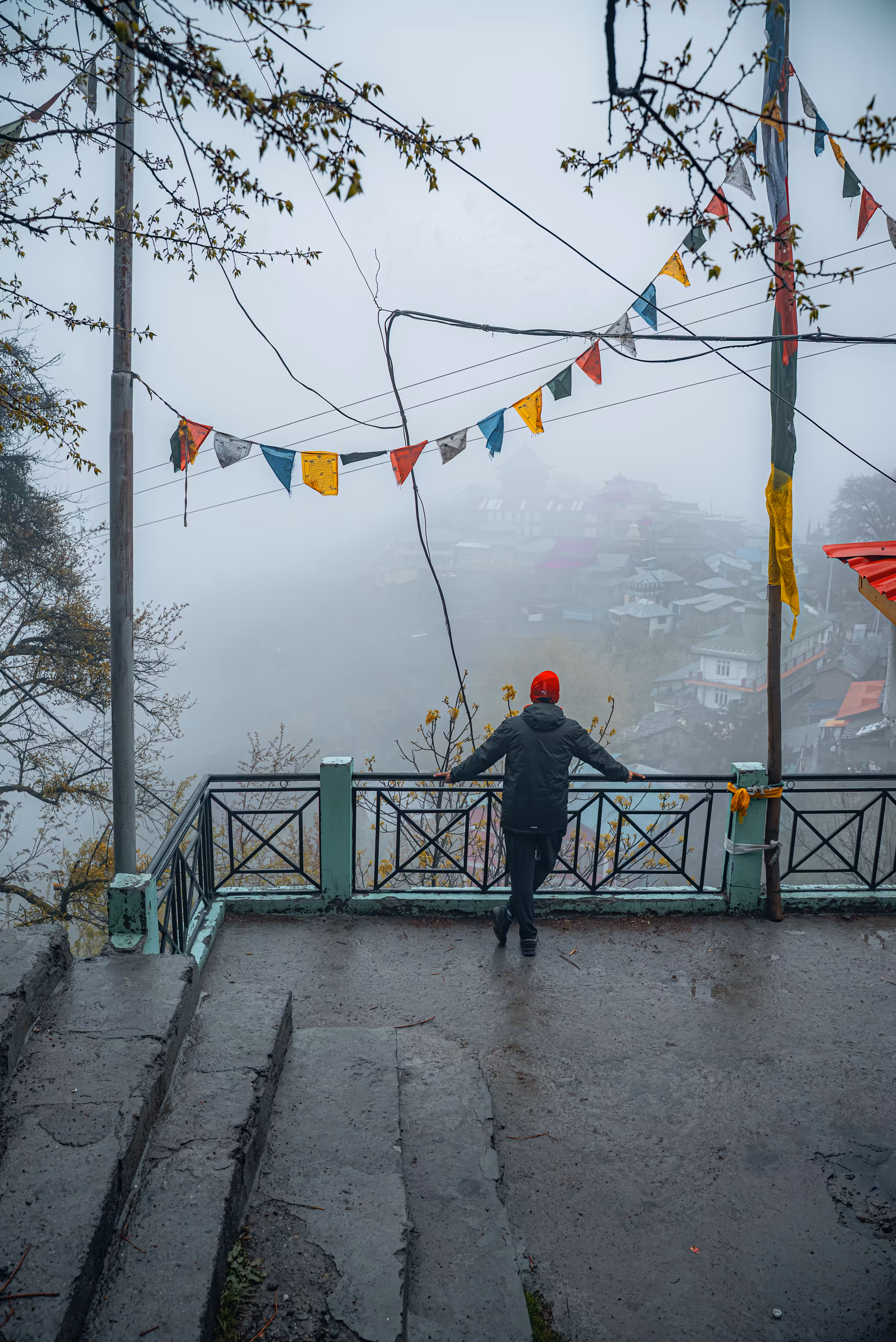 Whispers Beyond the Fog