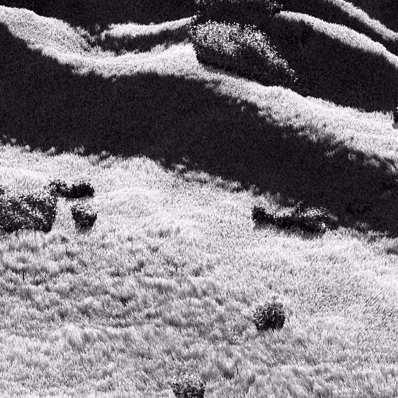 California Hills in Late Sun #157
