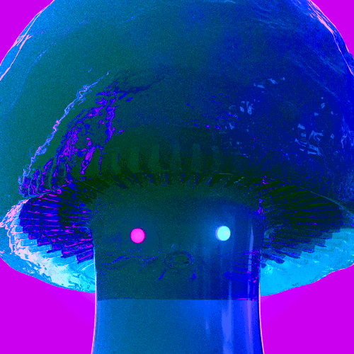 FUNGIBLE #0013