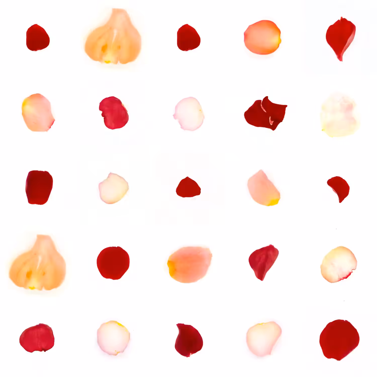 Infinite Petals 5x5#1038
