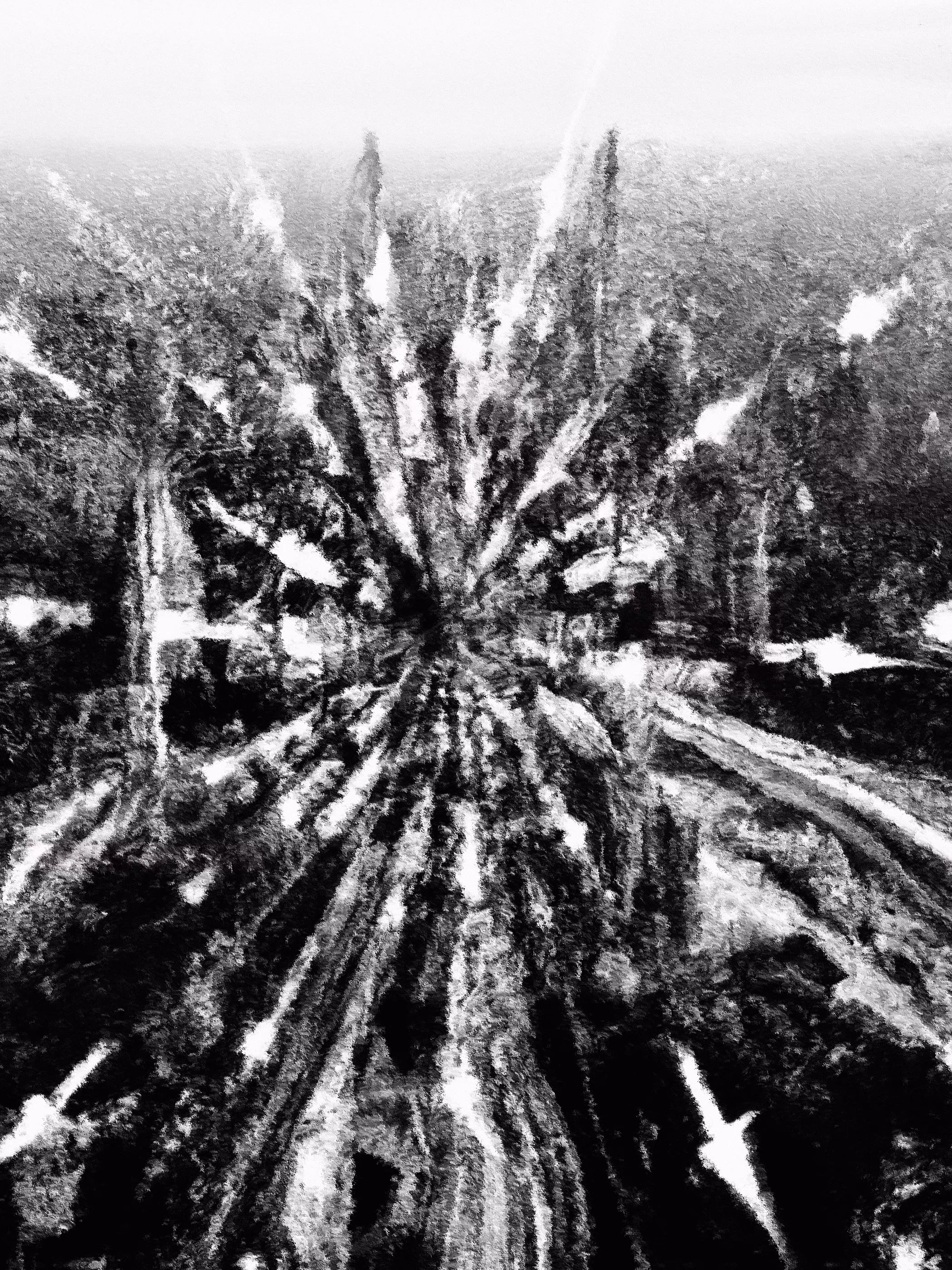 State of Decay
