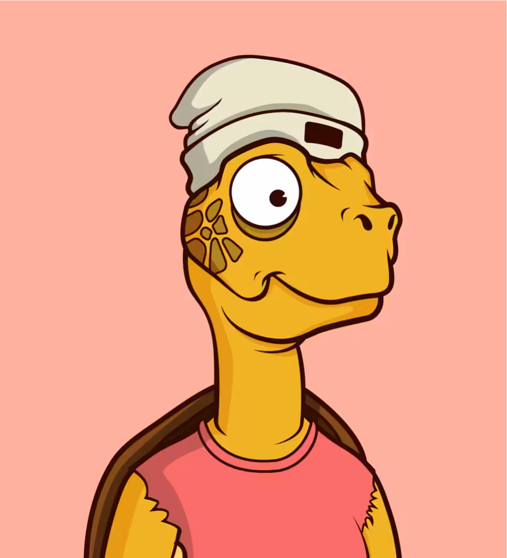 Tiny Turtle 61