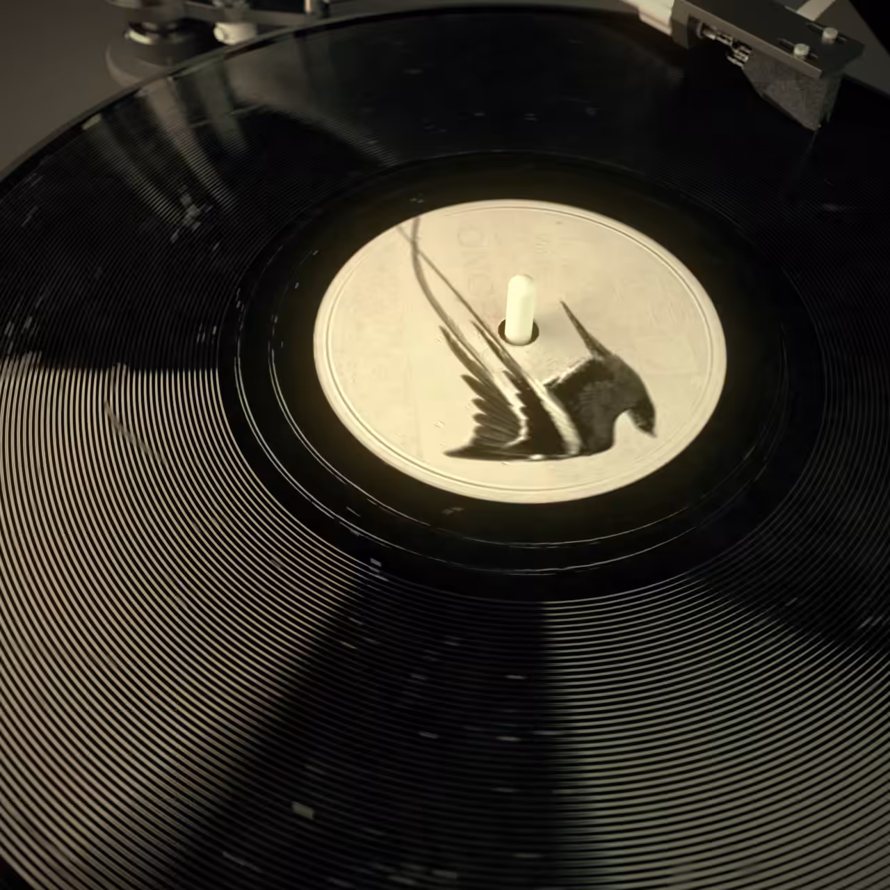 SPIN