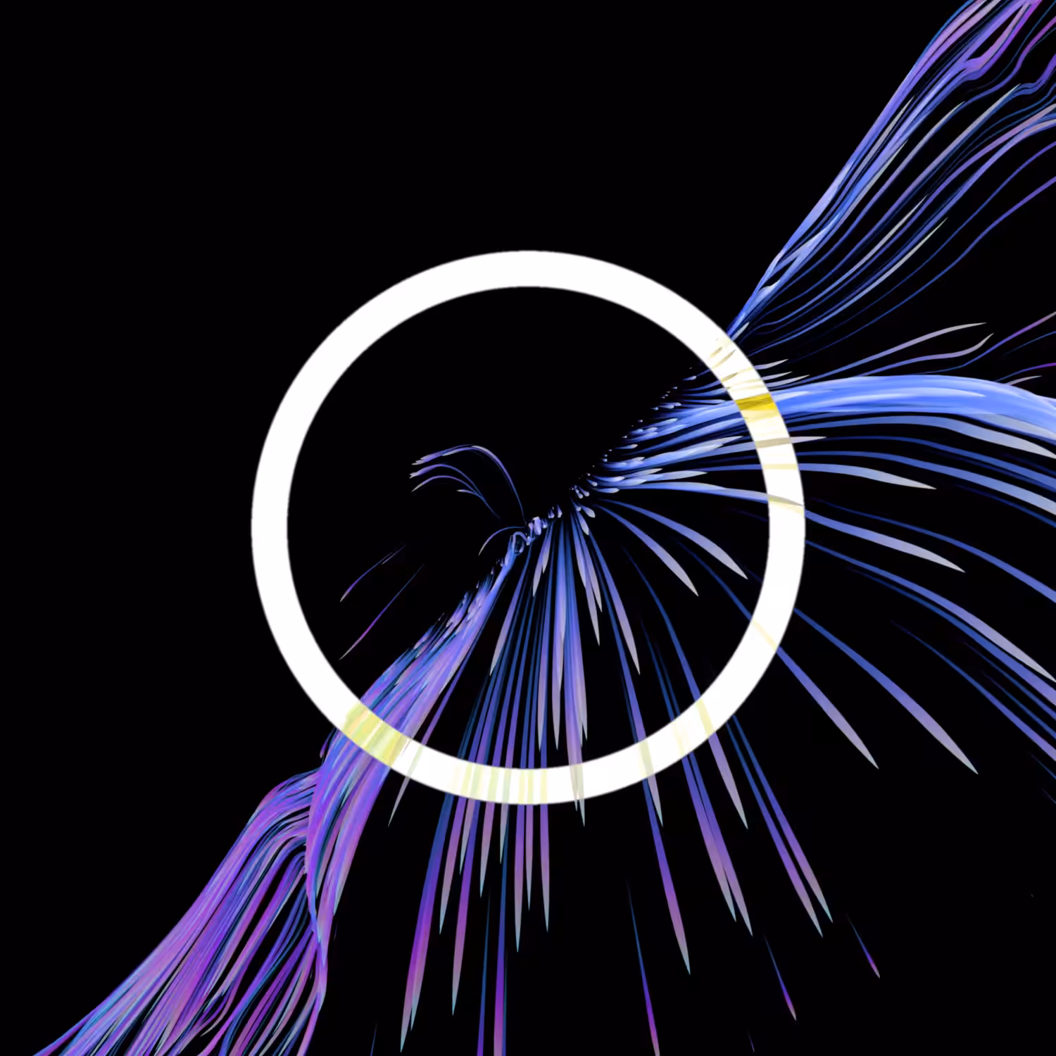 Vortex #998