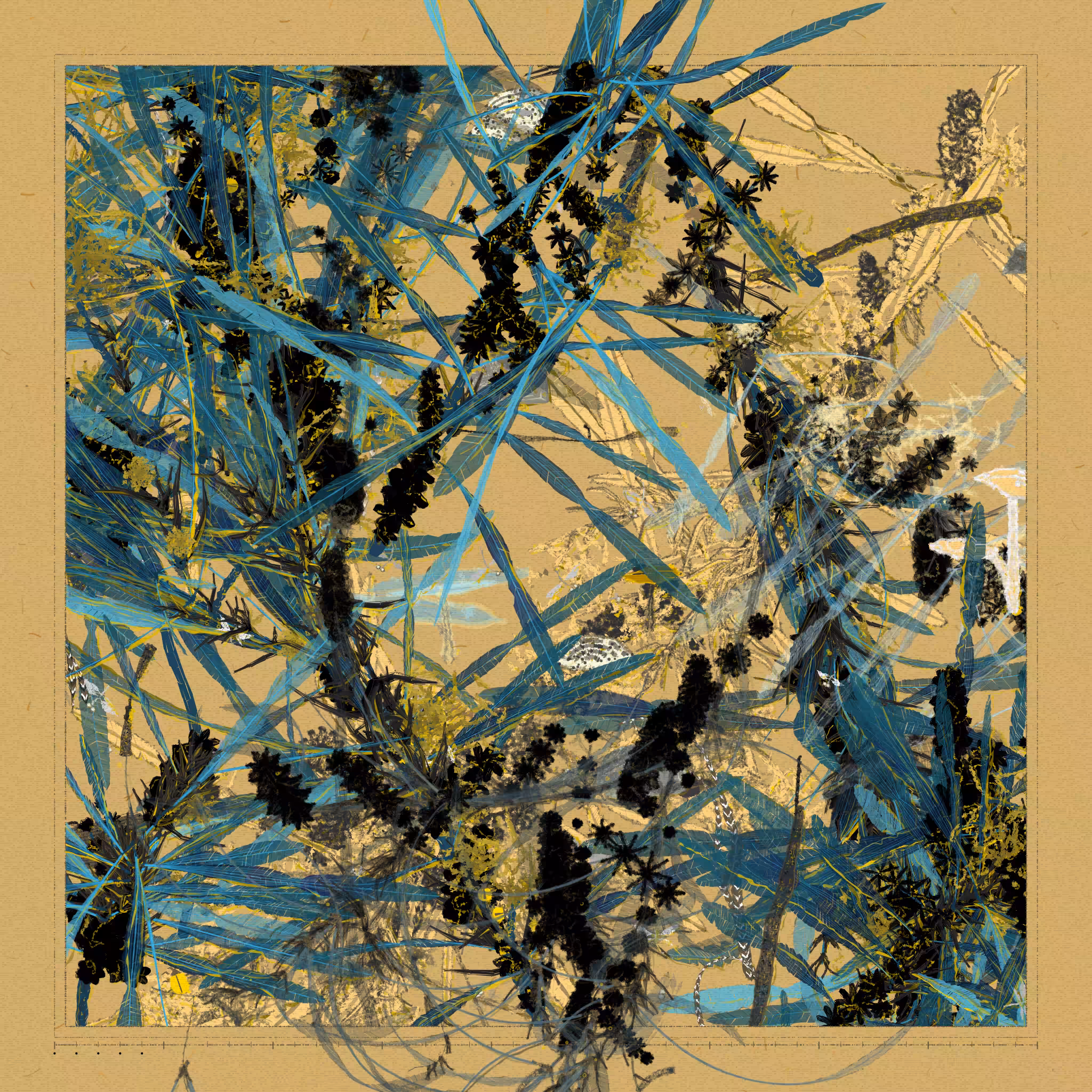 Polypaths | 植徑集 #360
