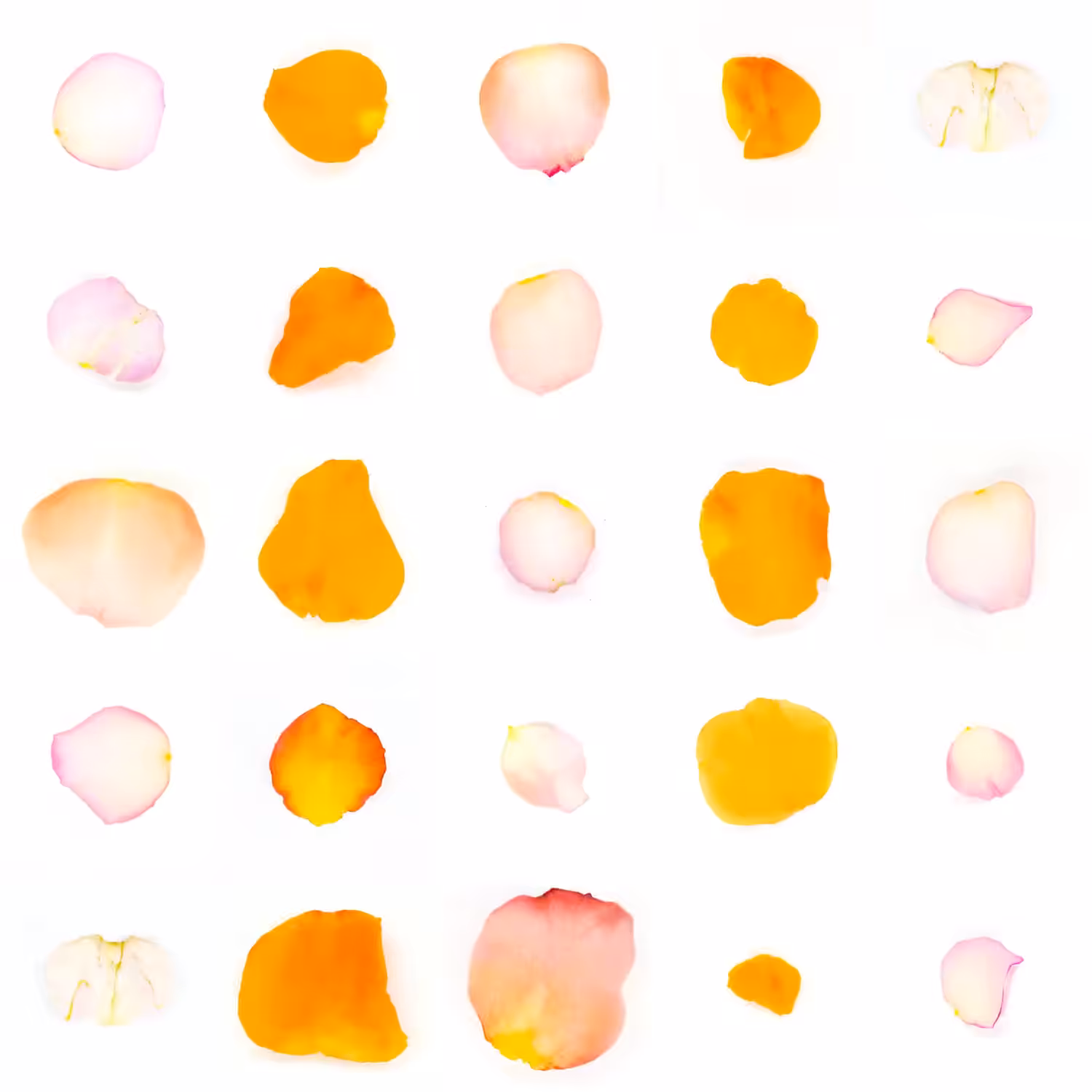 Infinite Petals 5x5#2138