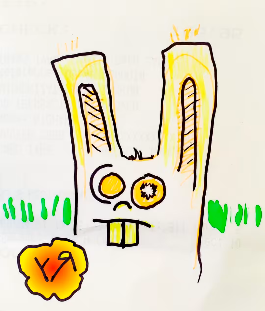 Bunny (Mess)