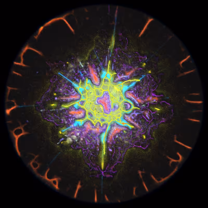 Ethereal Microcosm #12