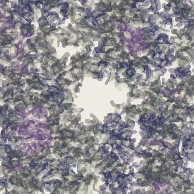 Petri 1500 #251