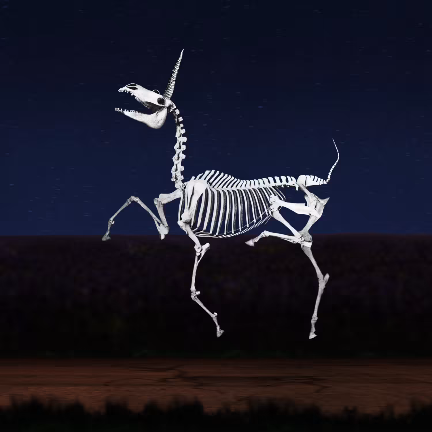 Pony