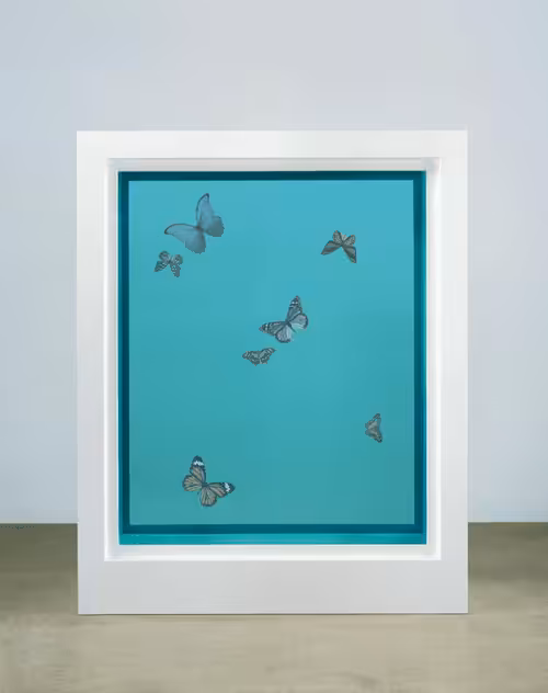 Hirst No.16