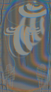 loop net