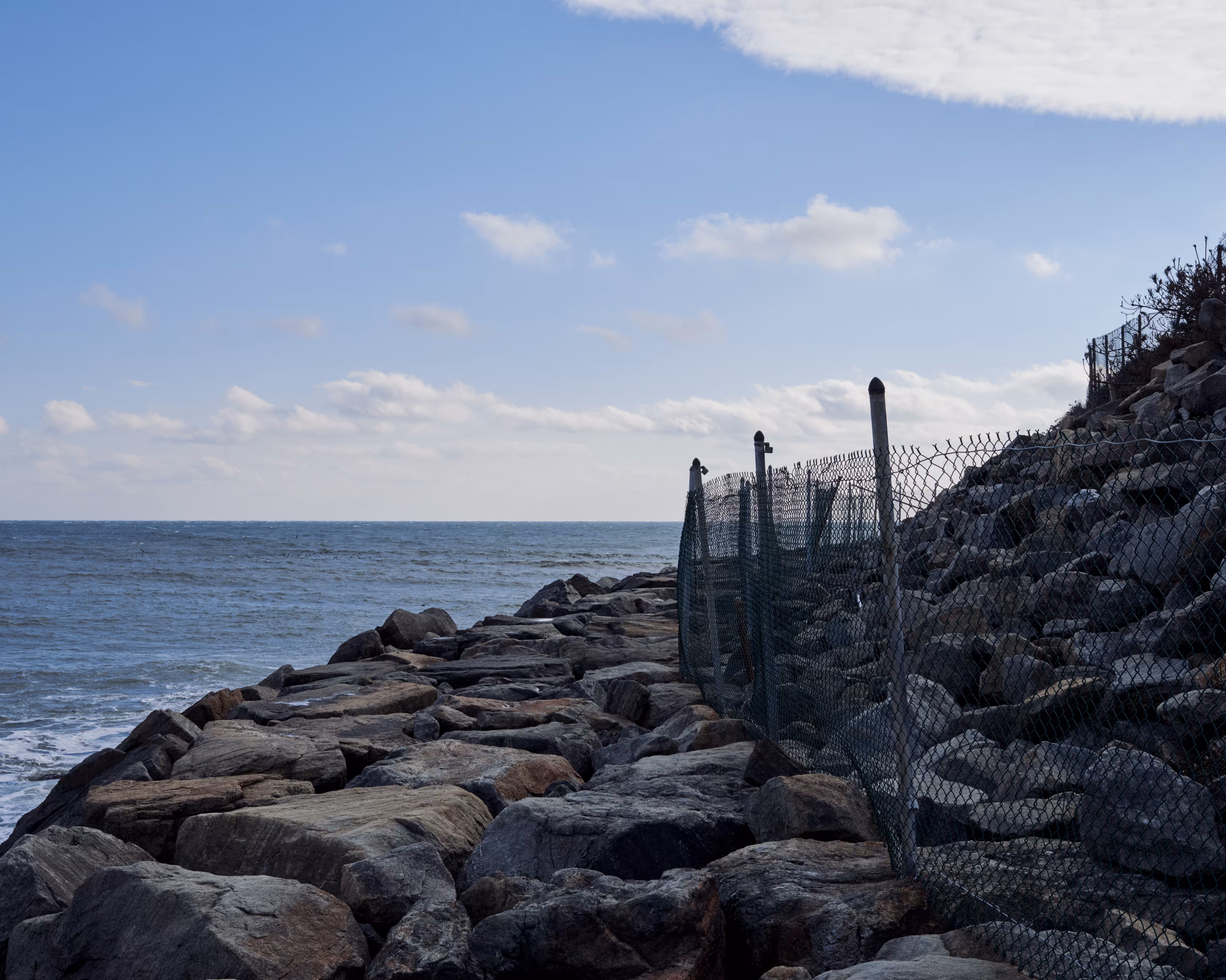 The Fence