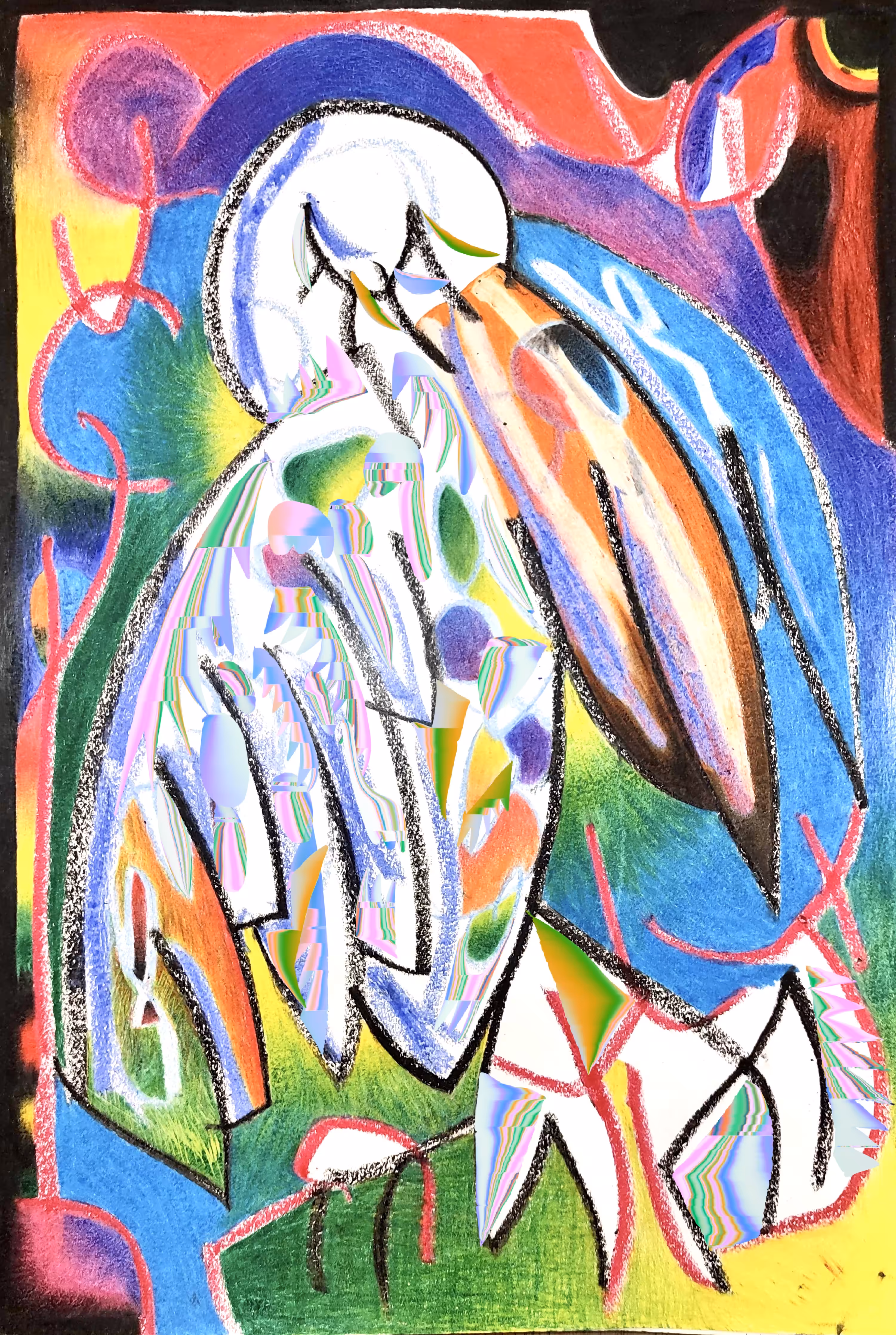Pellicano