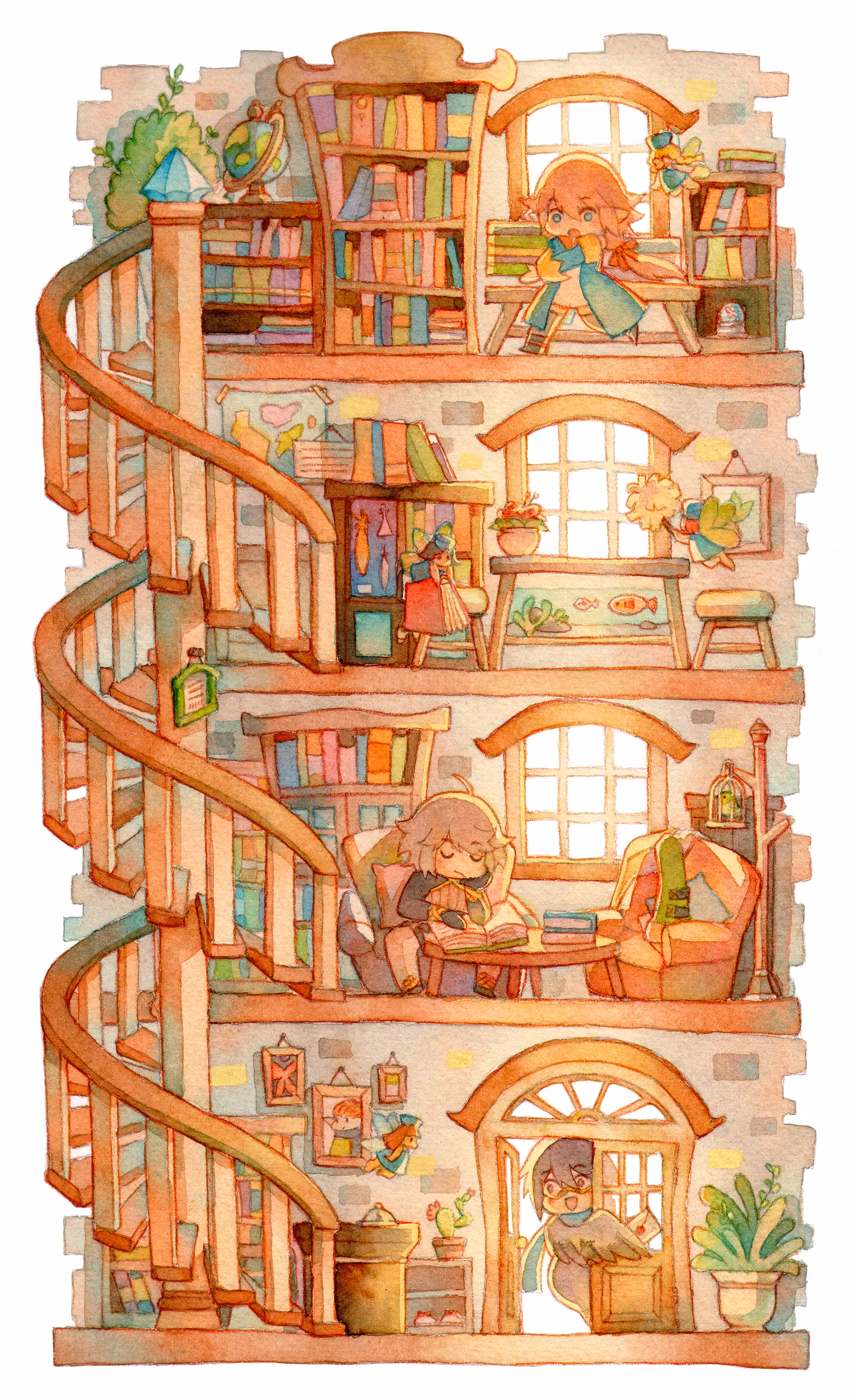 the library