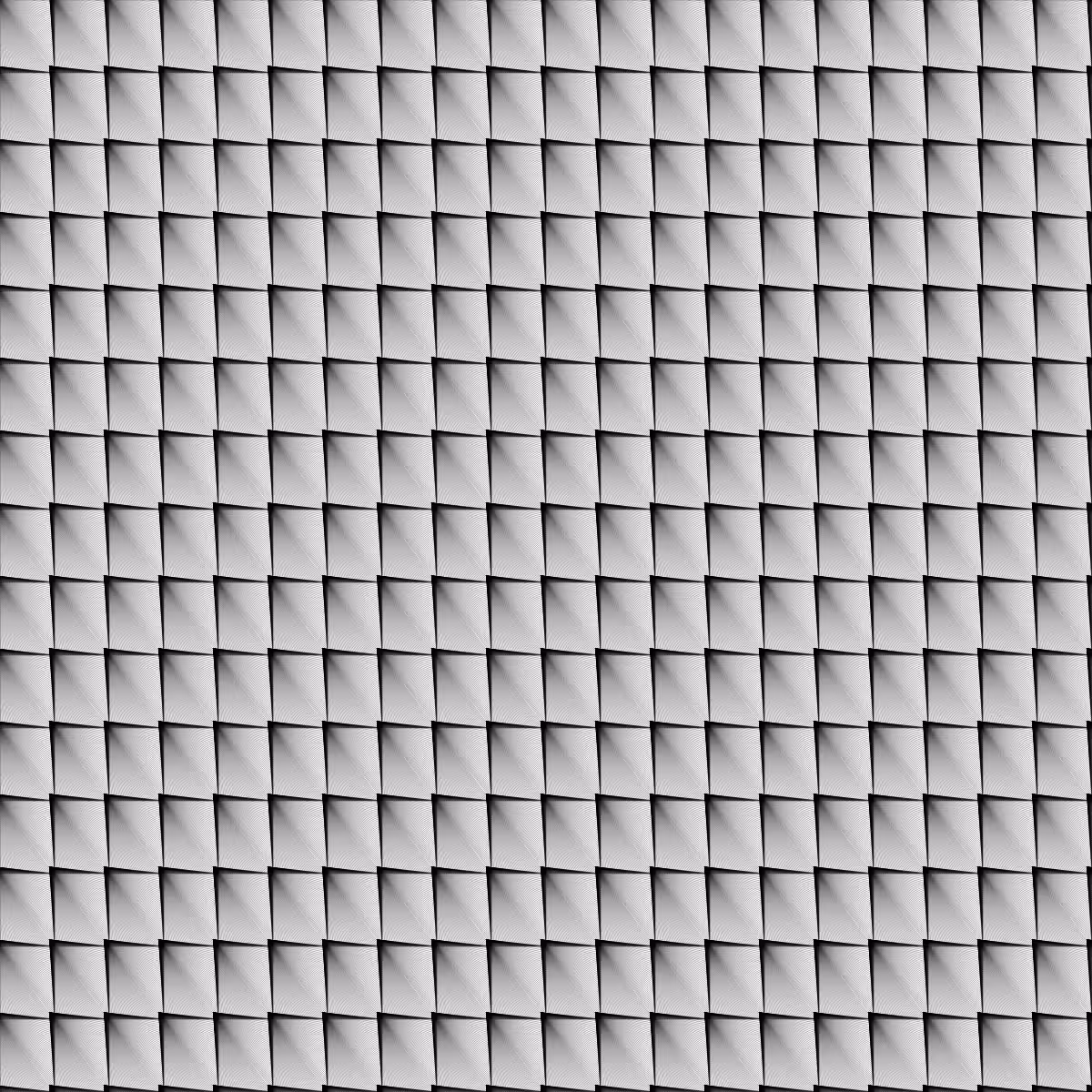 Noir et Blanc #69