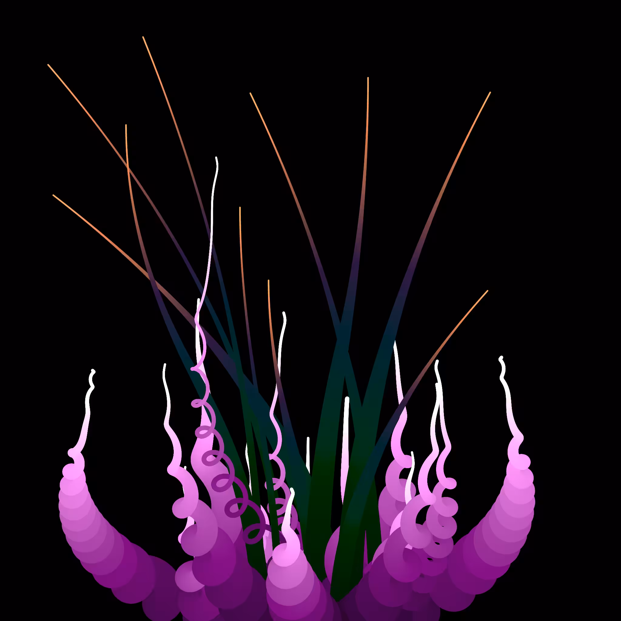 STAGE 002 - ITERATION 005