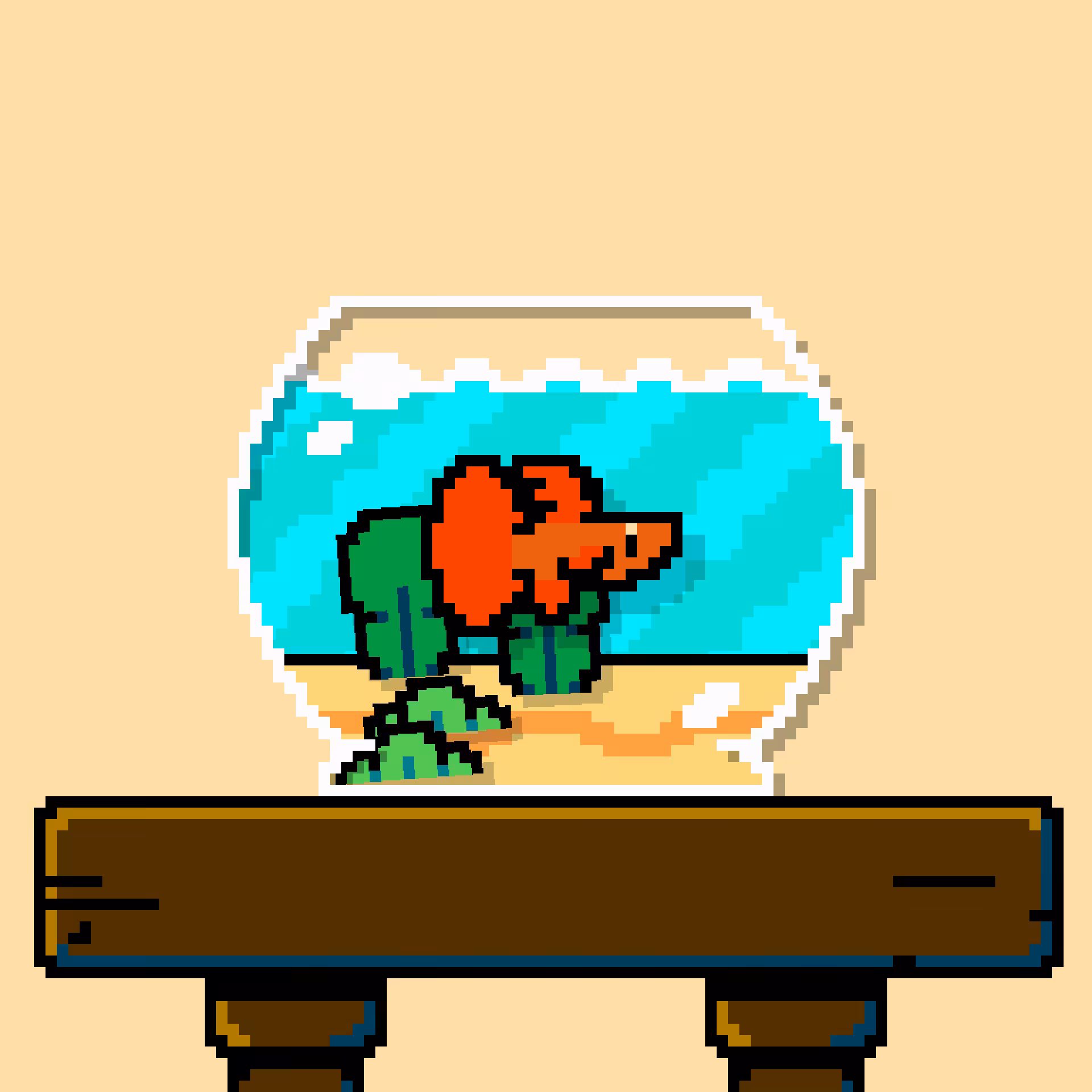 betta fish #262