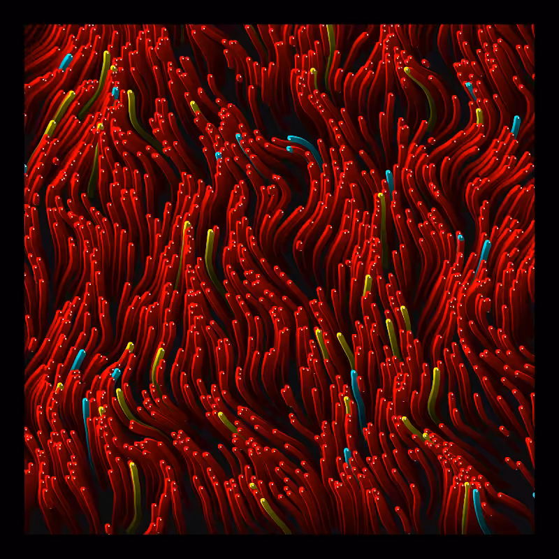 Worms Migration #3