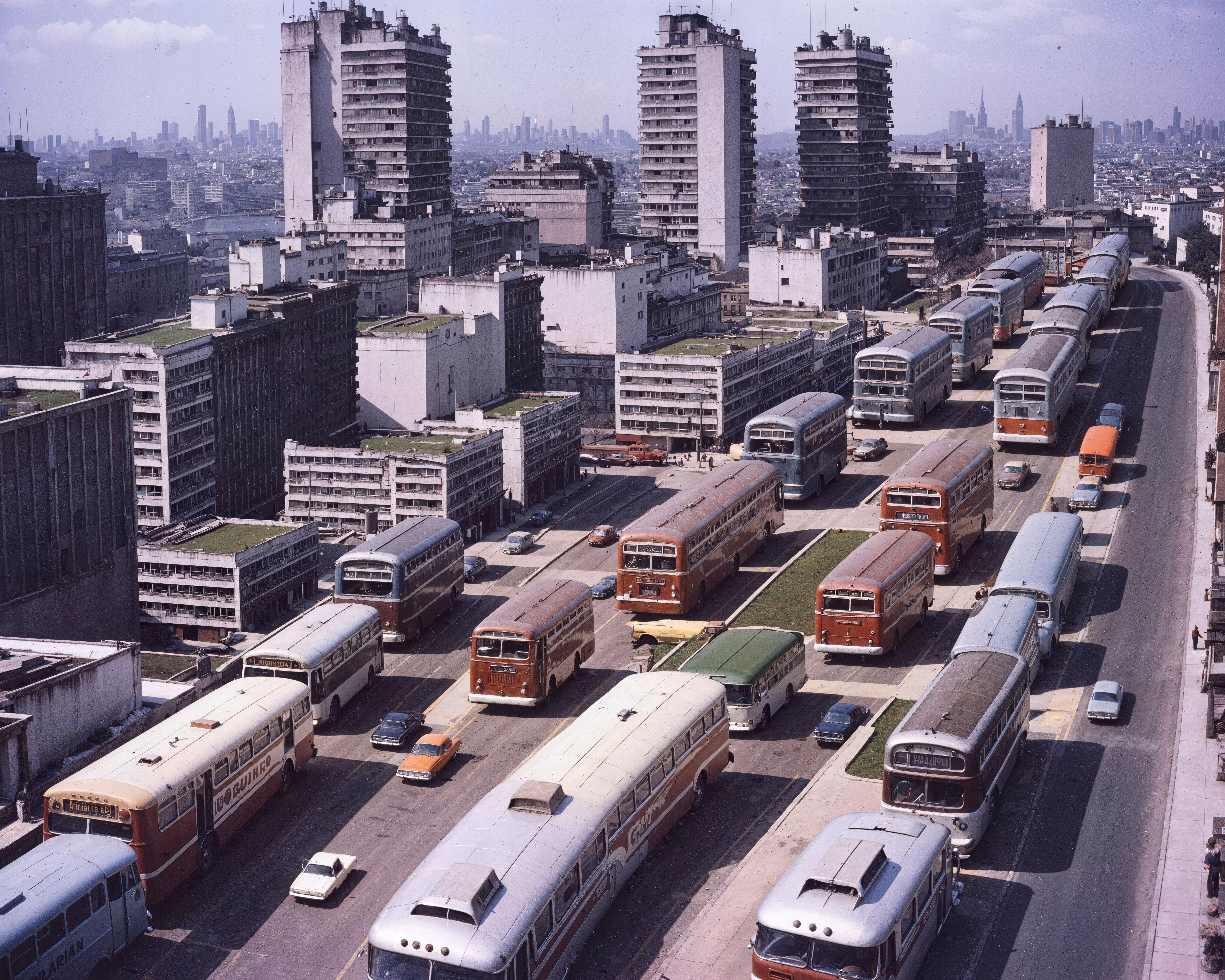 The Bus Lane