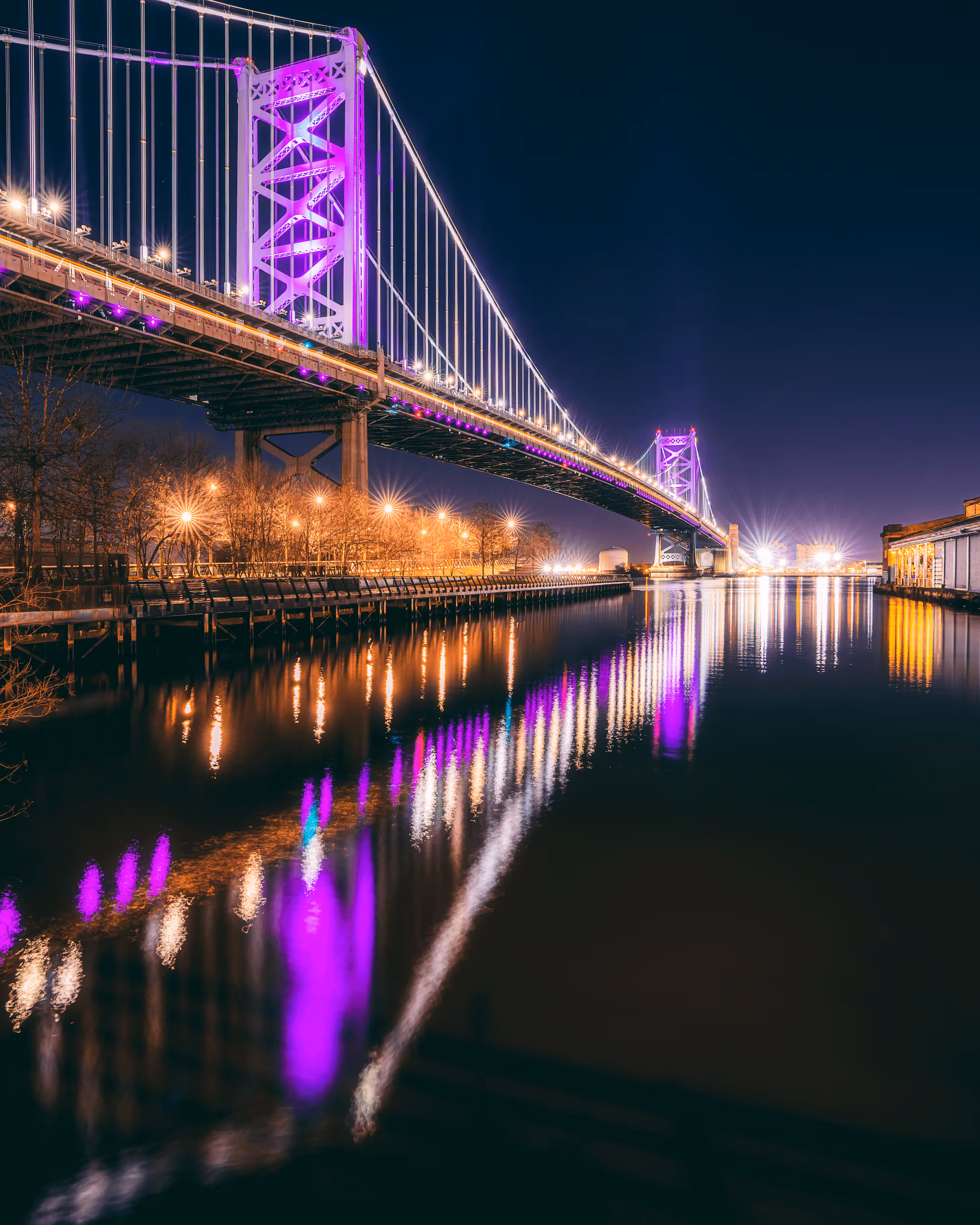 Purple #2