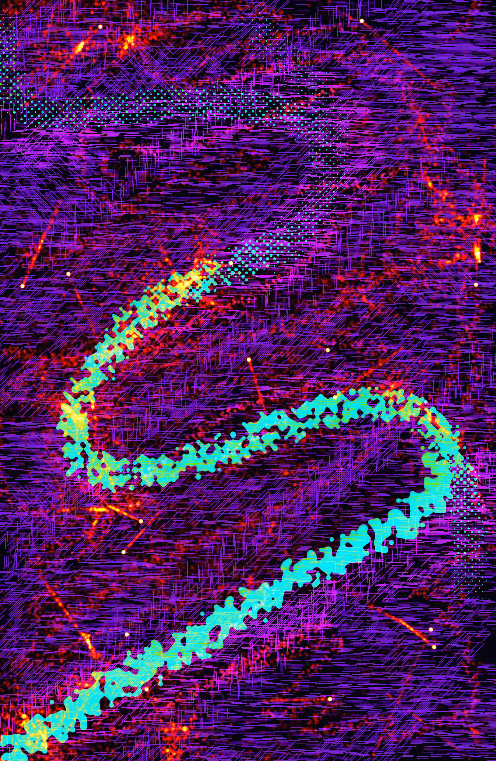 Sensory Regions