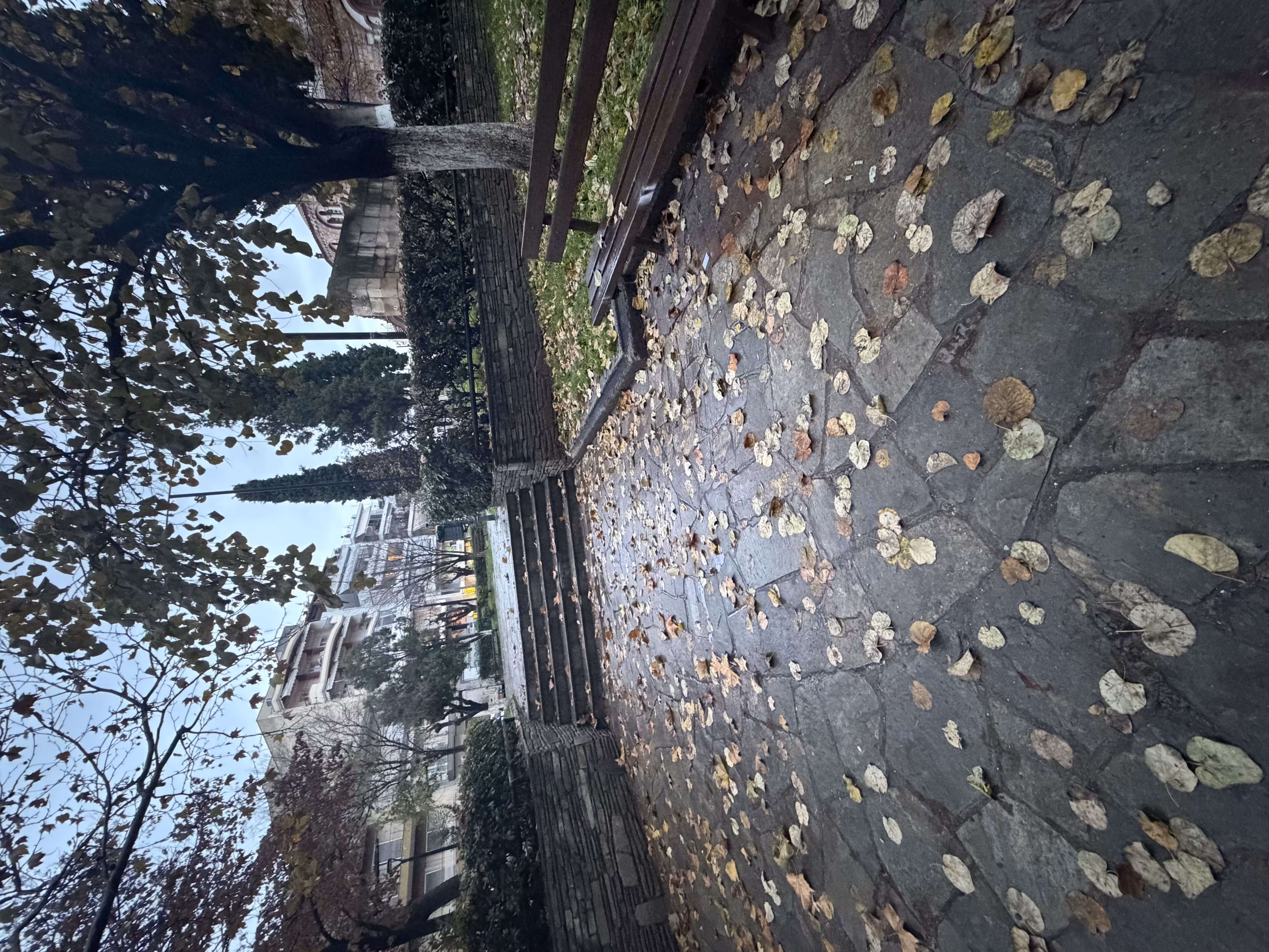 The Scent of Winter