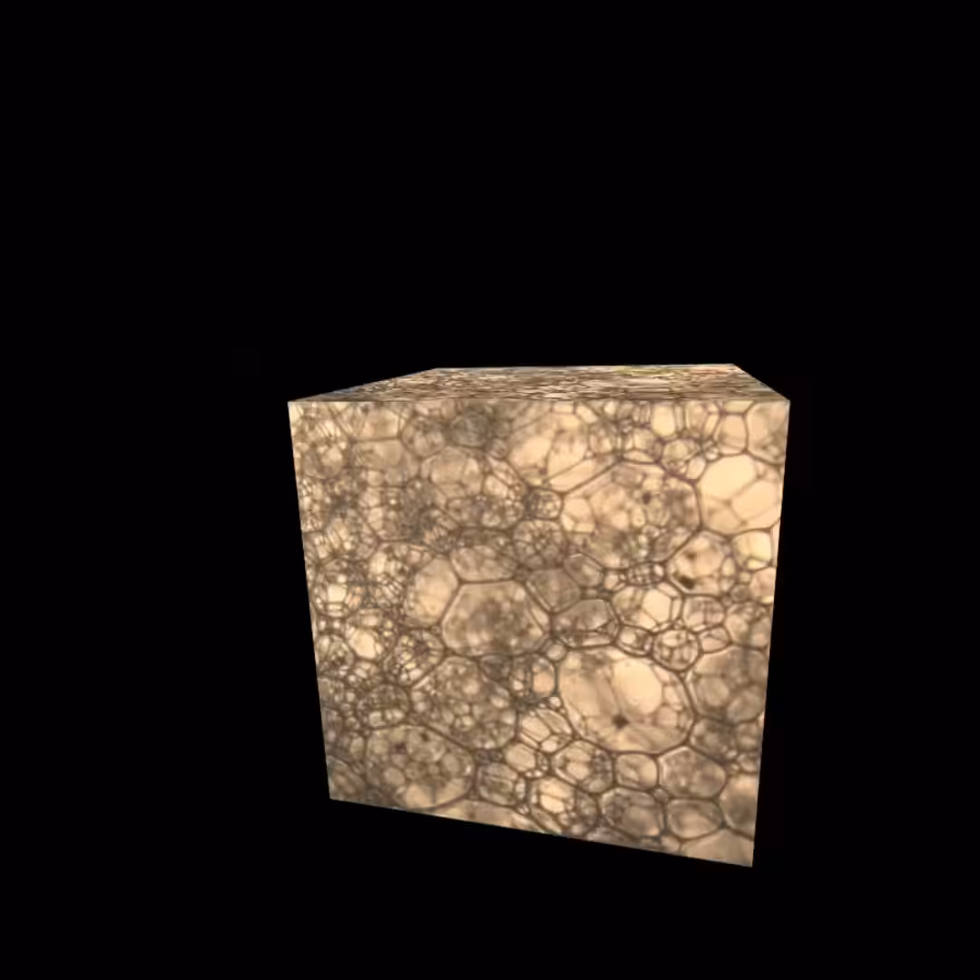 Cube: Trypophobia Cube