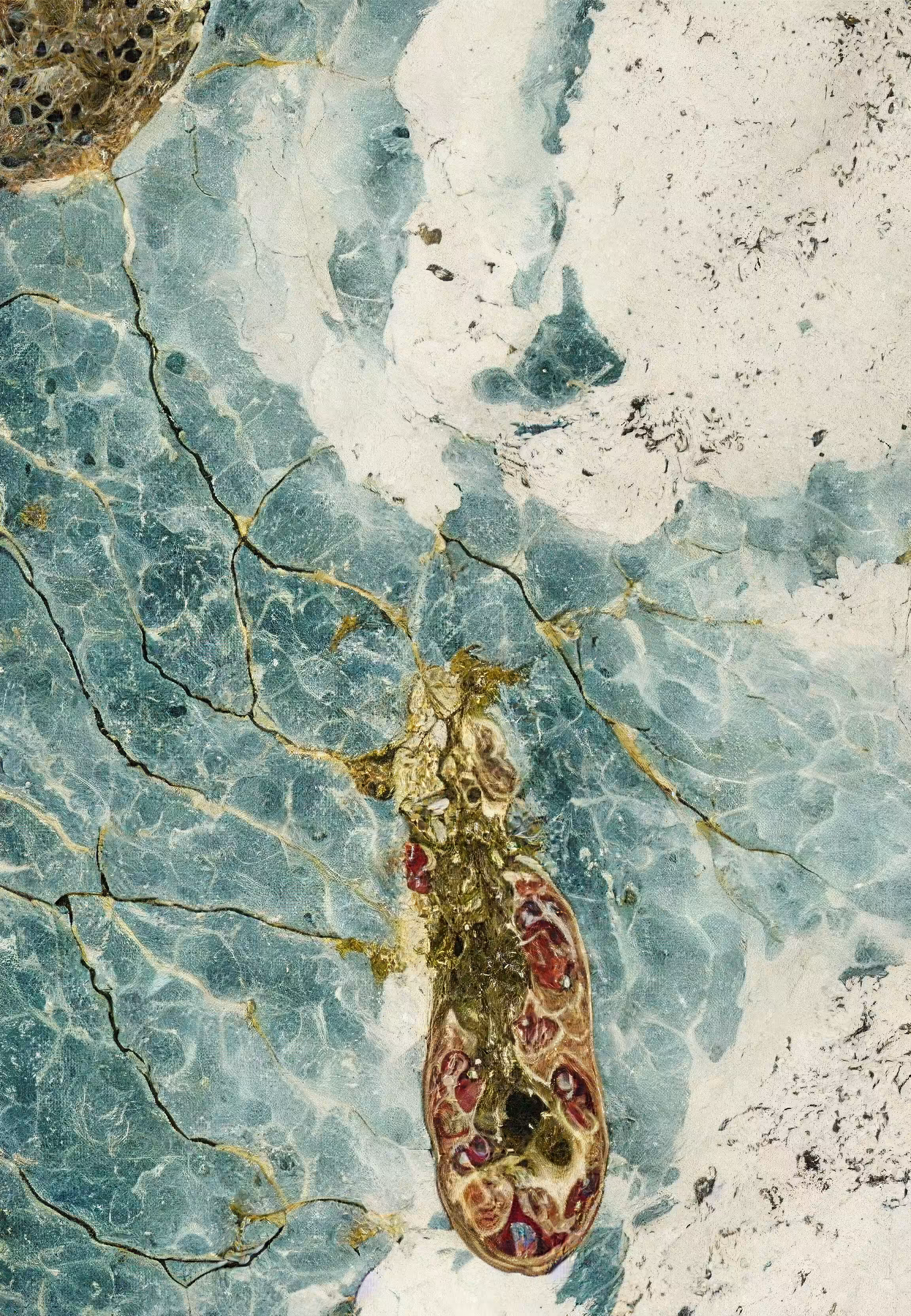 Histologia In Silico #284
