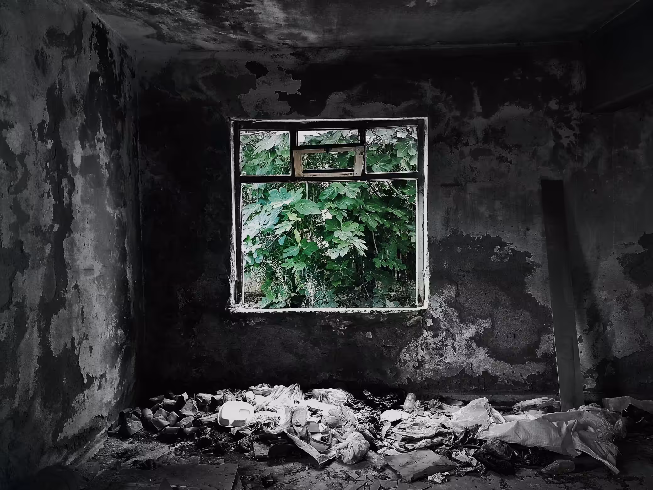 Diary of pain: Fallen House