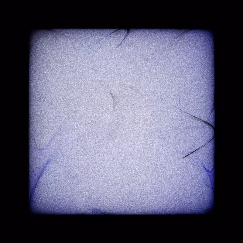 Bifurcation #30