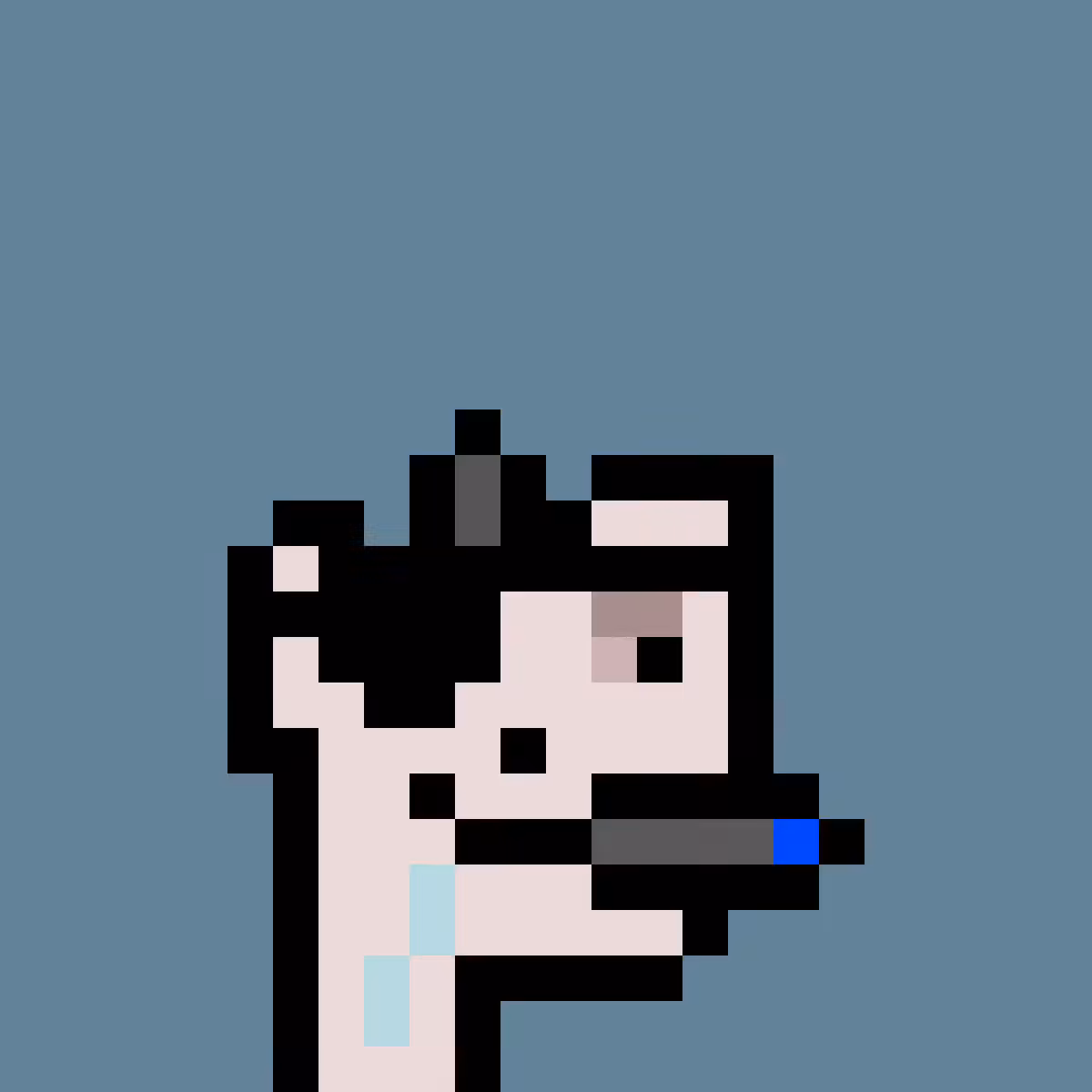 PNUKS #319