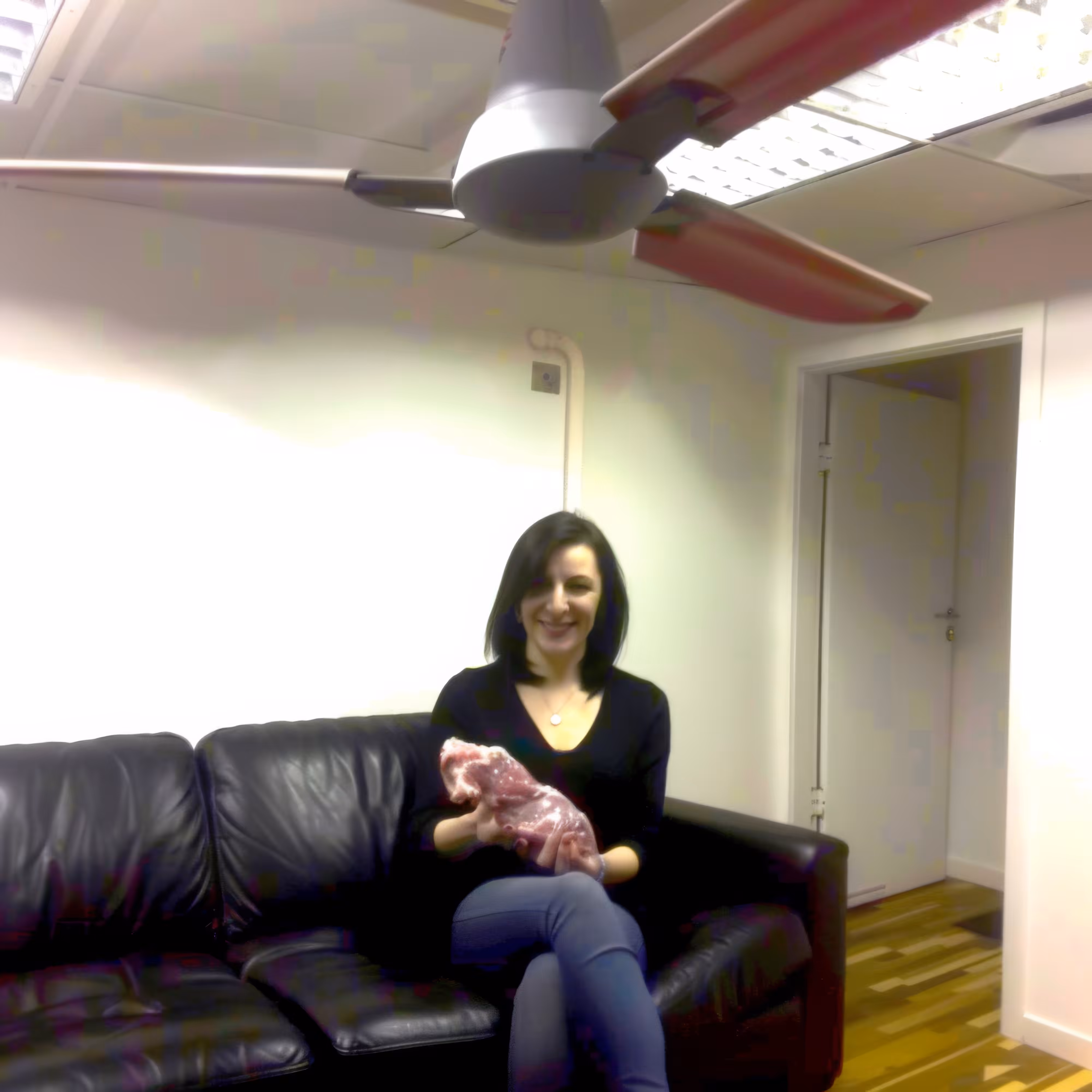 Meat-Couch