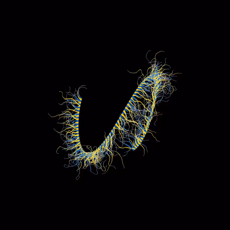 365 Tentacles