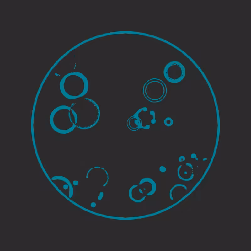 Cheap Petri Dish #8