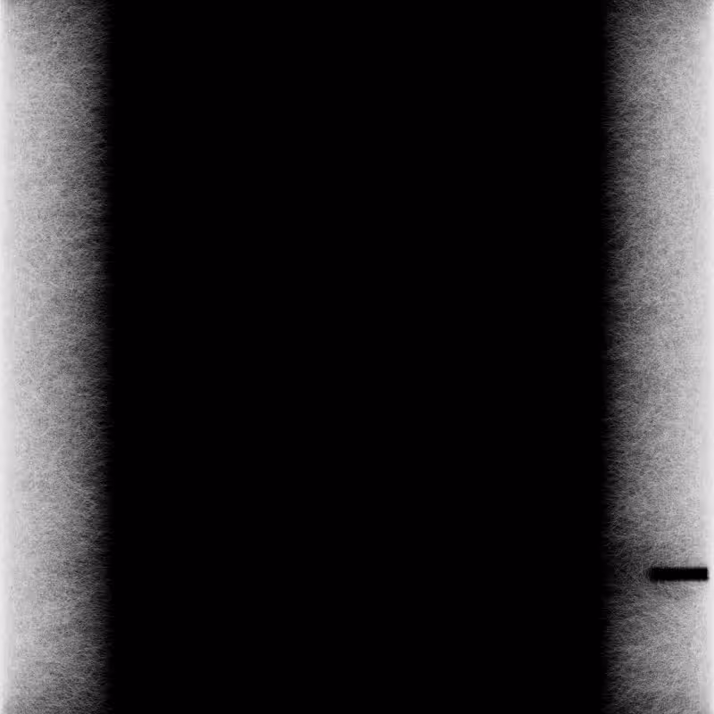 Umbra #194