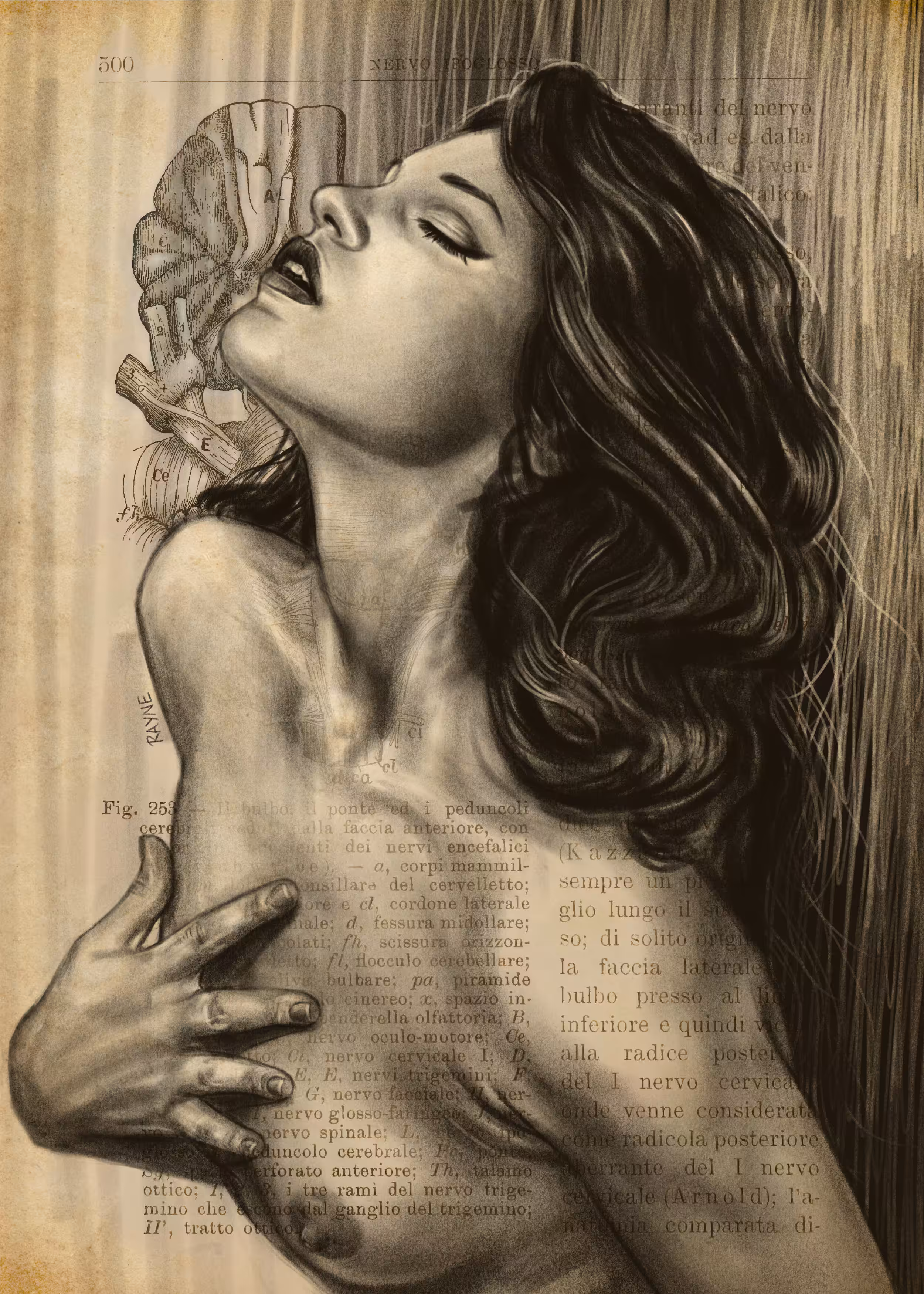 The Anatomy of Longing