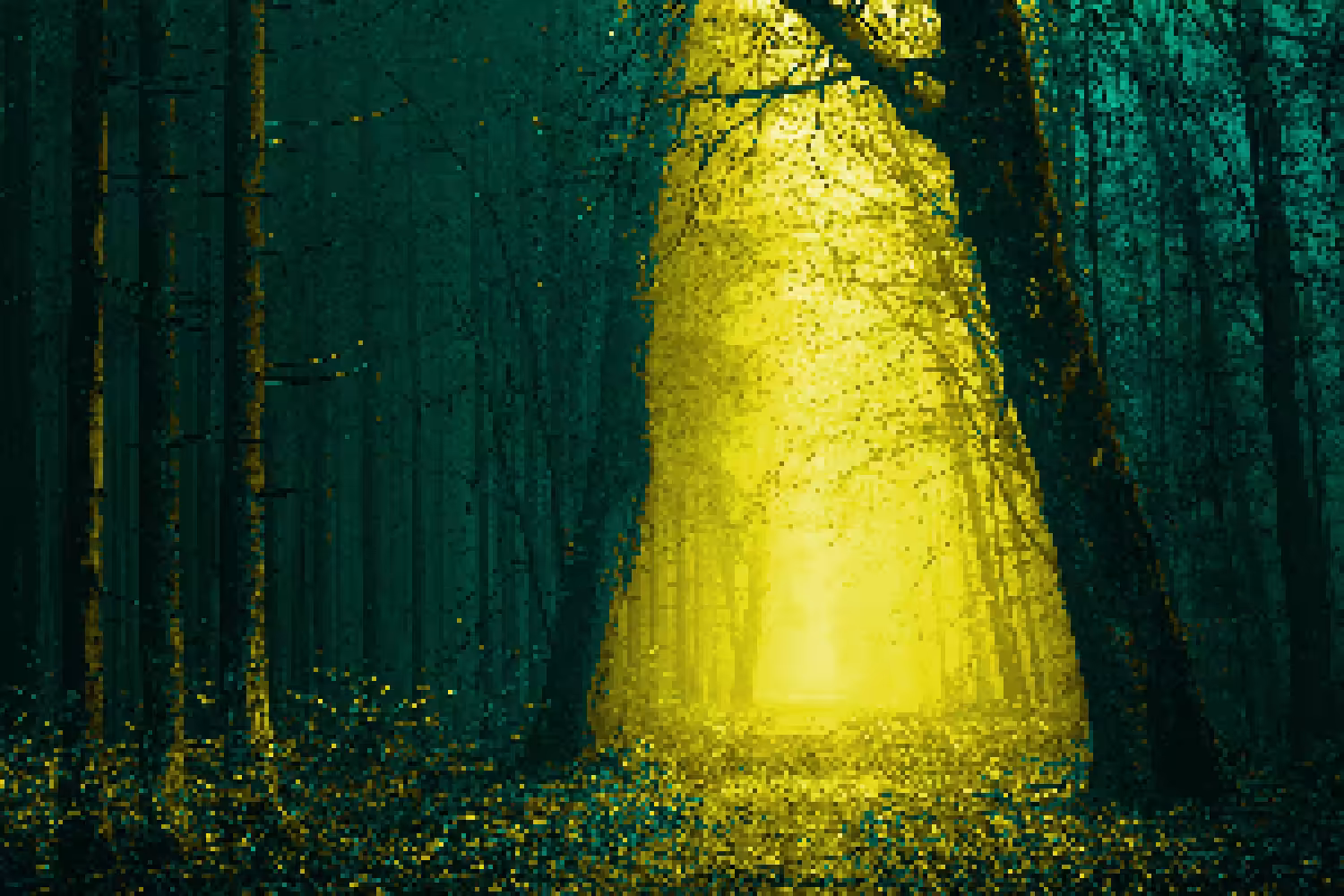 Forest #2