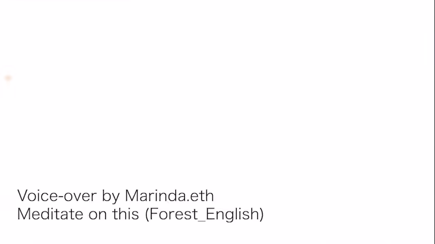 Meditate on this (Forest_English)