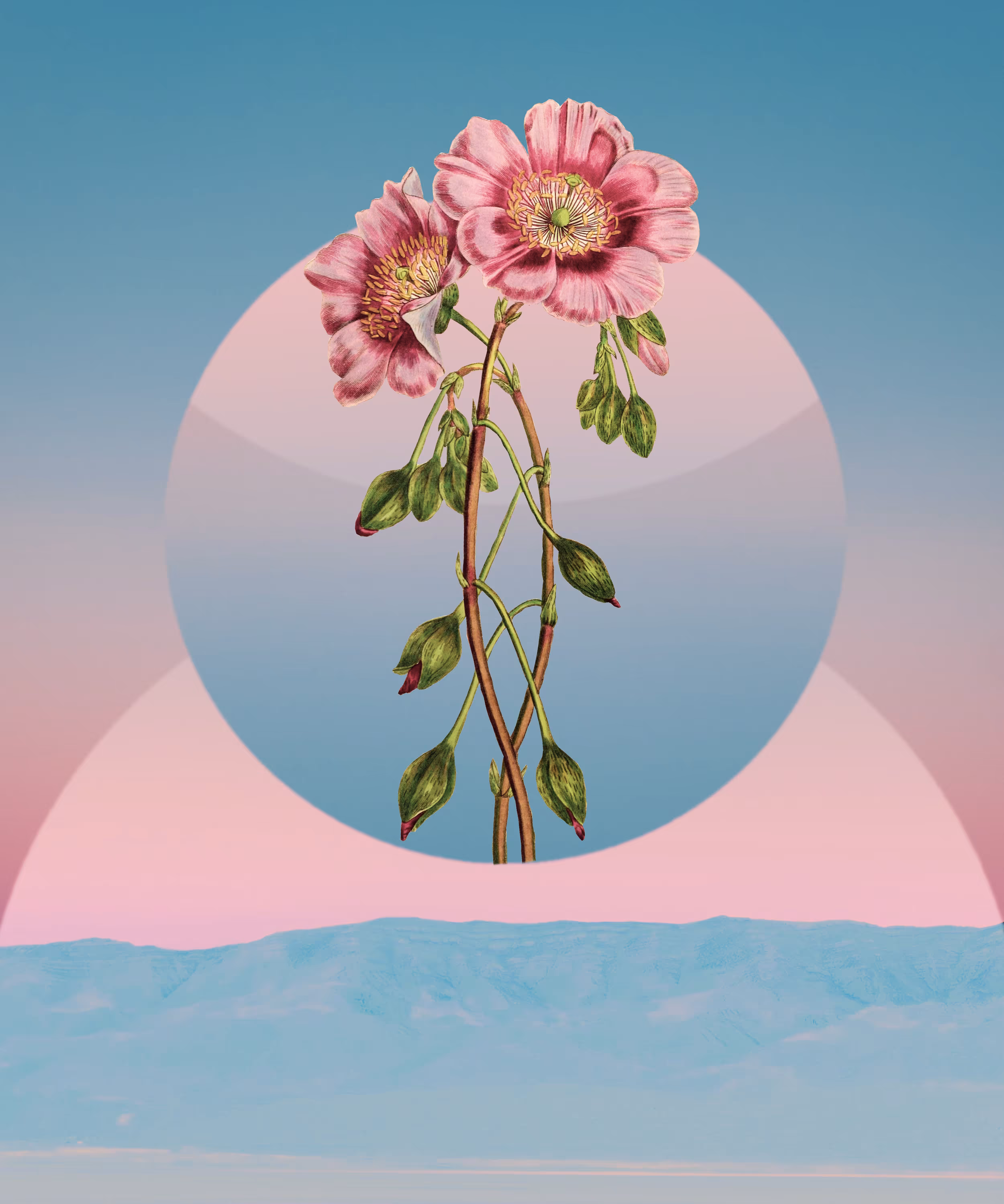 Airwaves, 2019