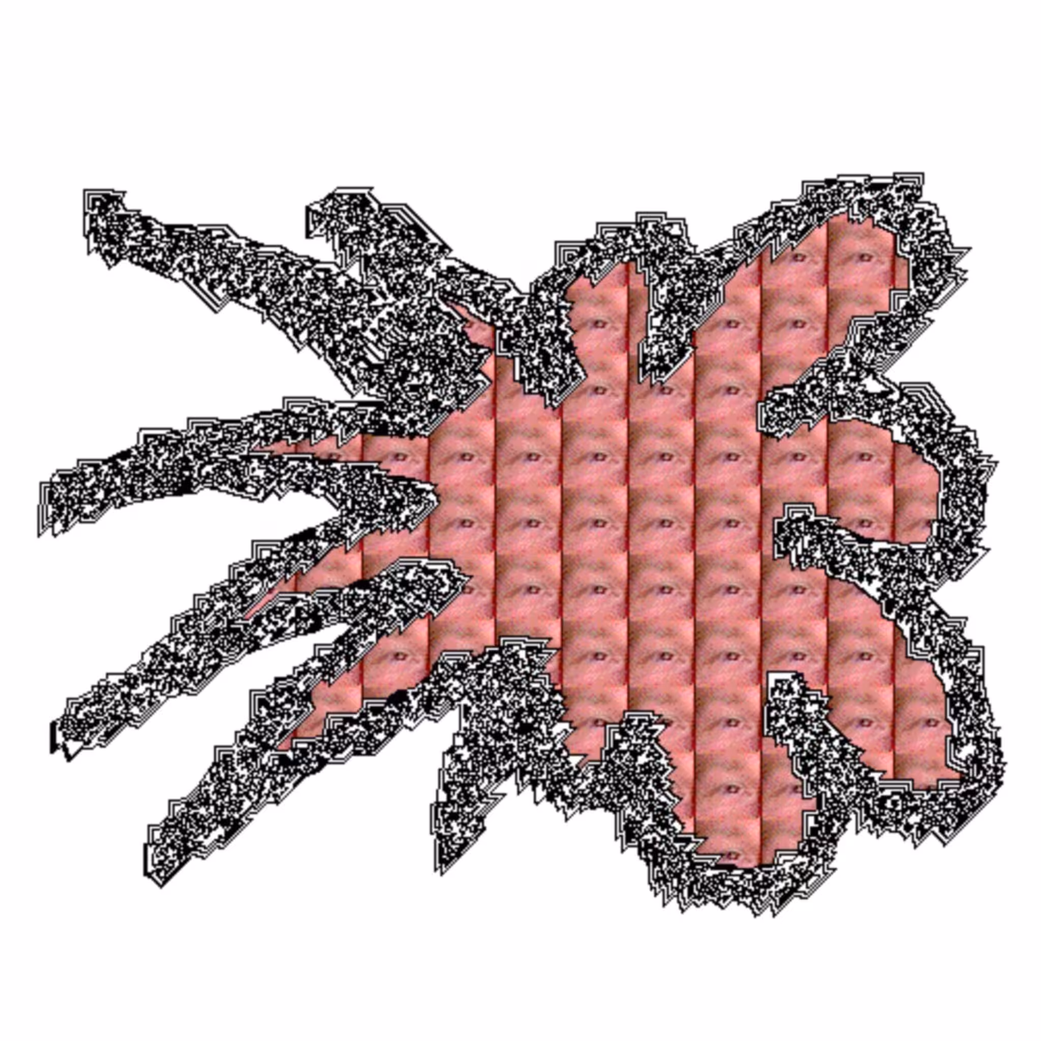 HUMAN BACTERIA
