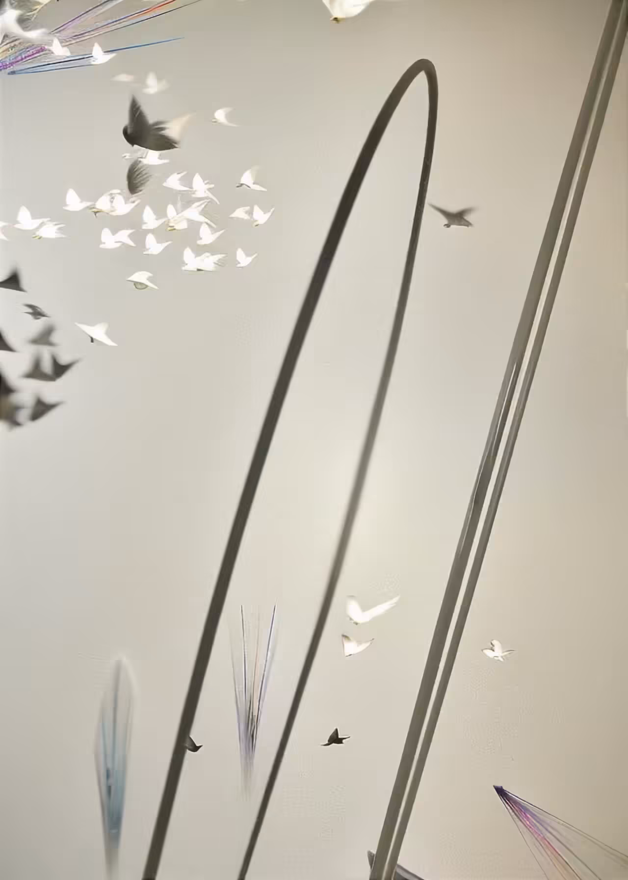 Forecast Loops: Gliding 01