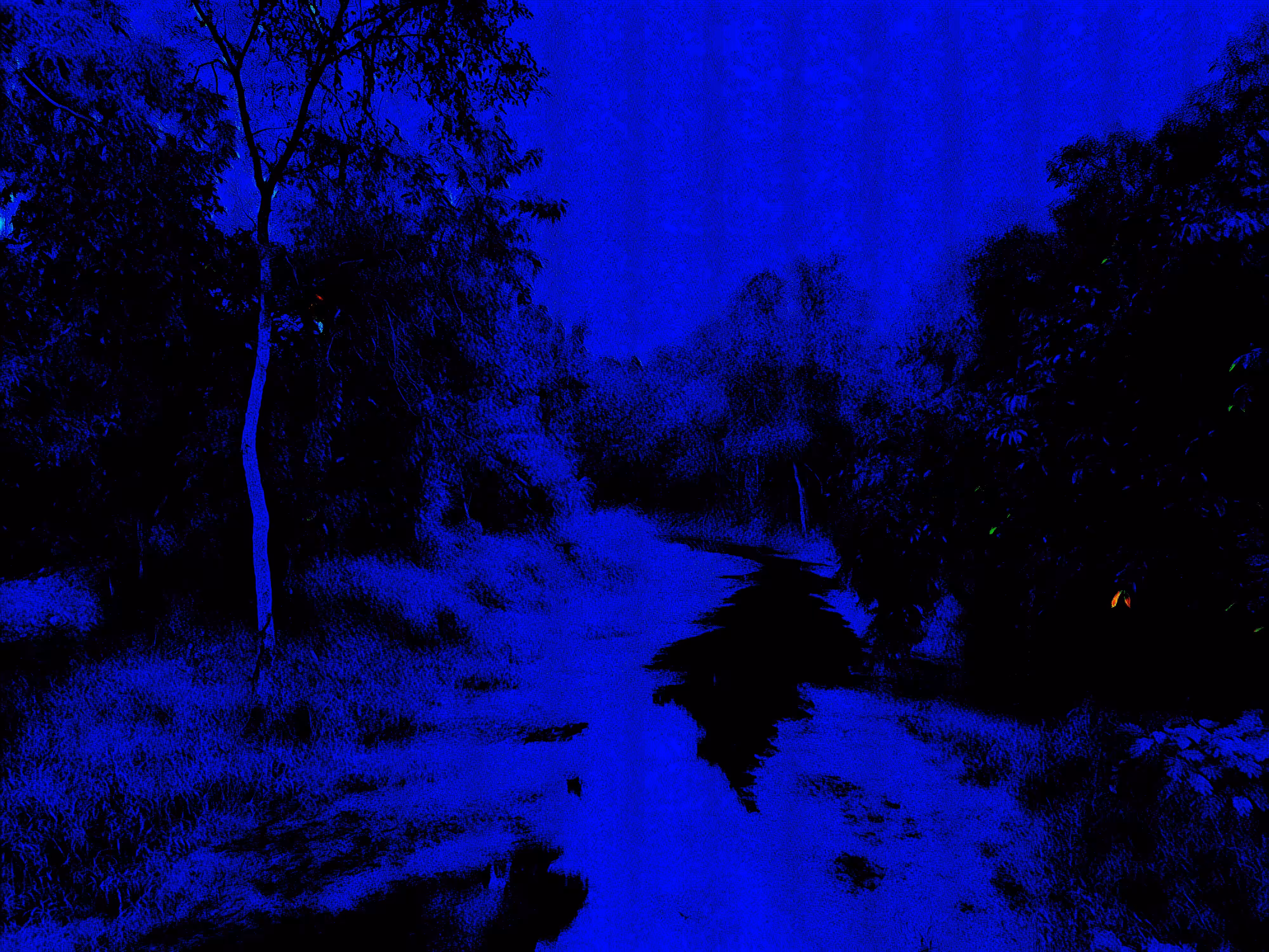 The Deeper Process of Nature