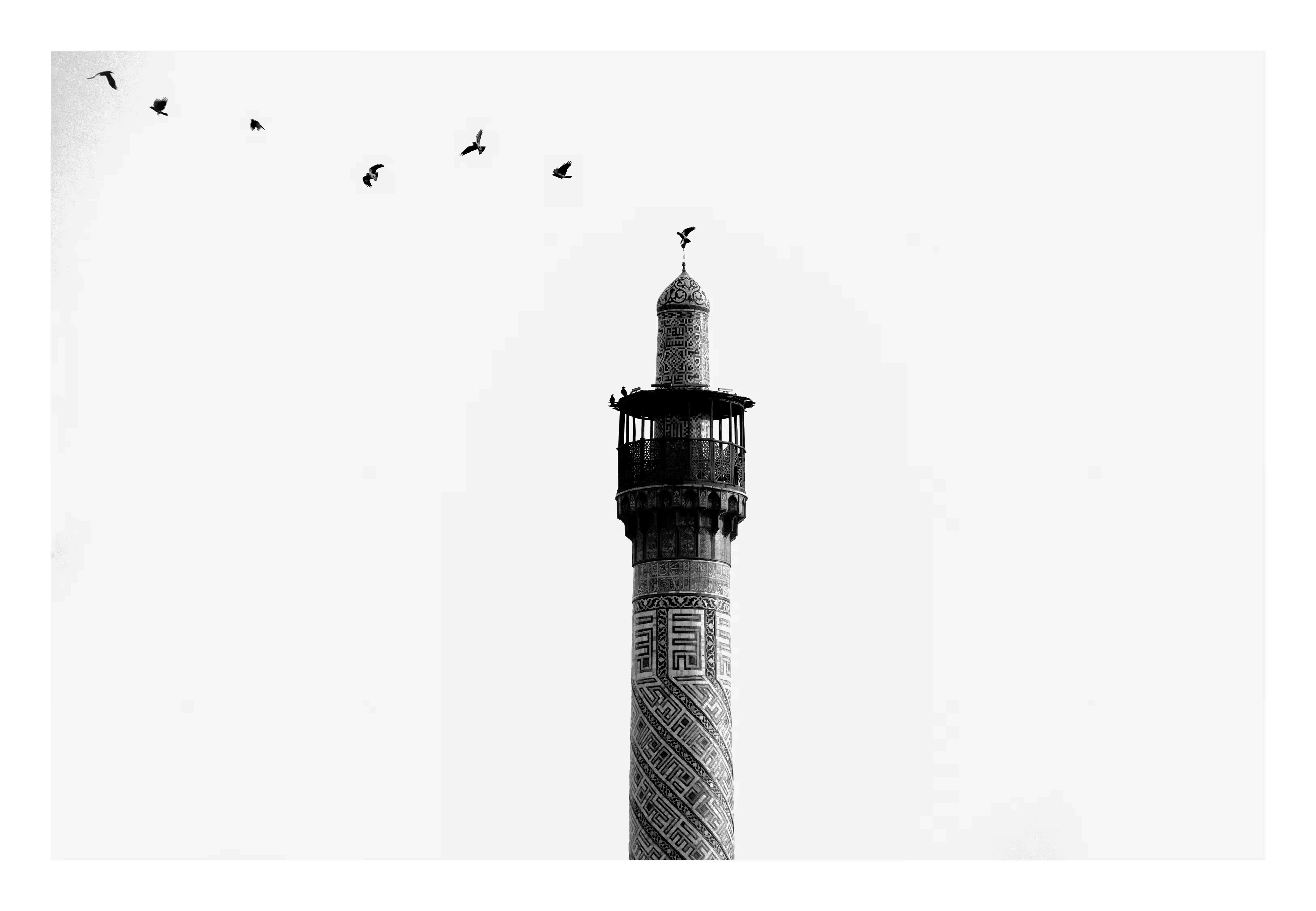 B&W Dream