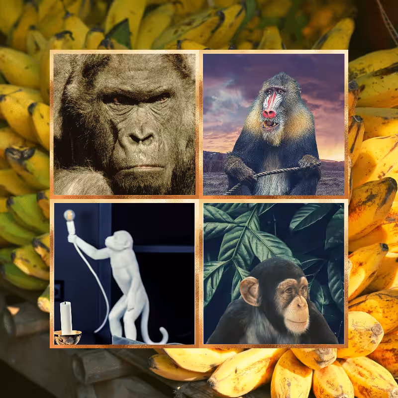 Banana legends #67