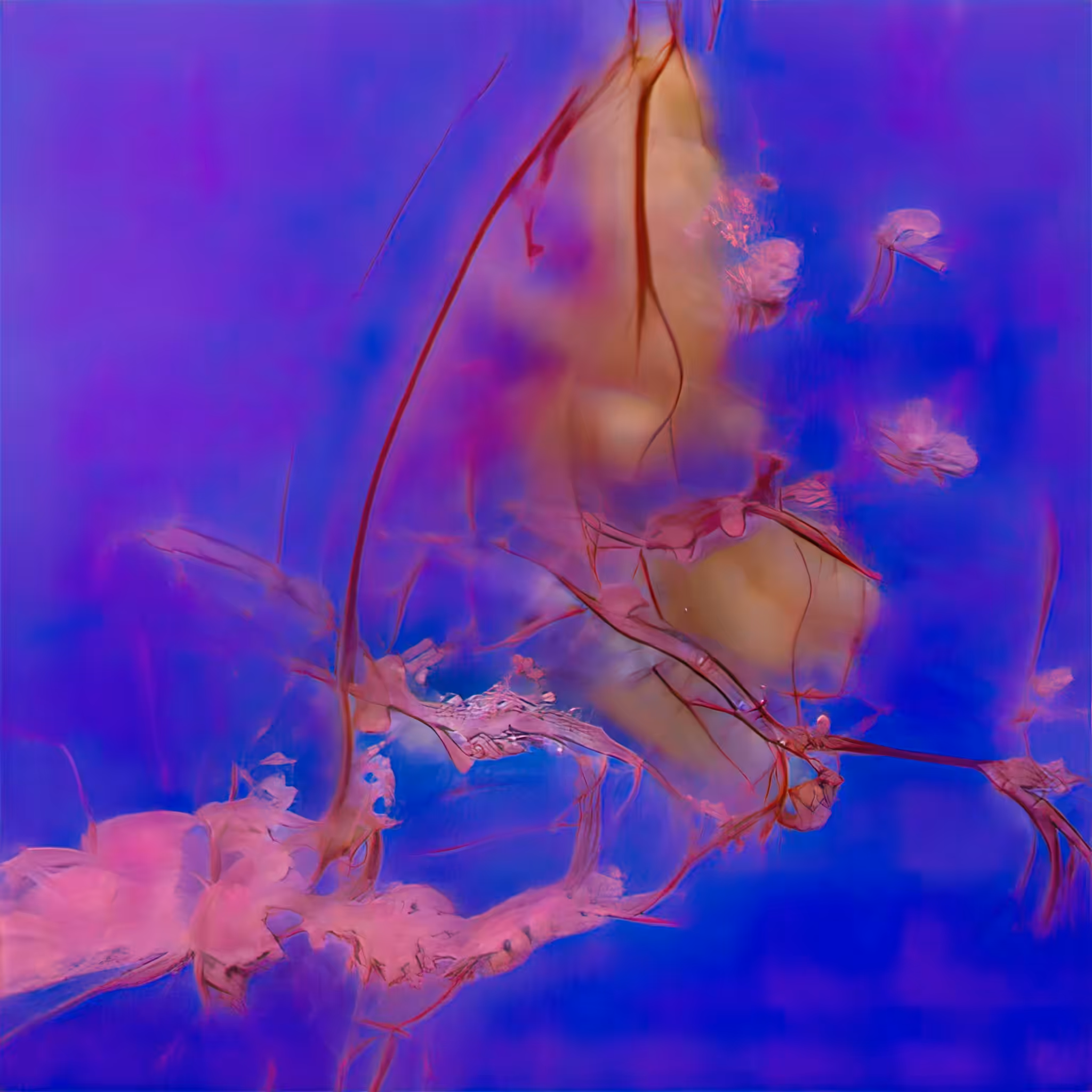 Emergent Finale 00356