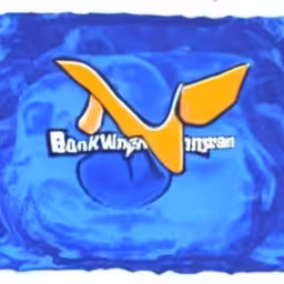 DotCom Seance: wingspanbank.com (1999-2001) reimagined by Cosmographia, with Simon Denny and Guile Twardowski
