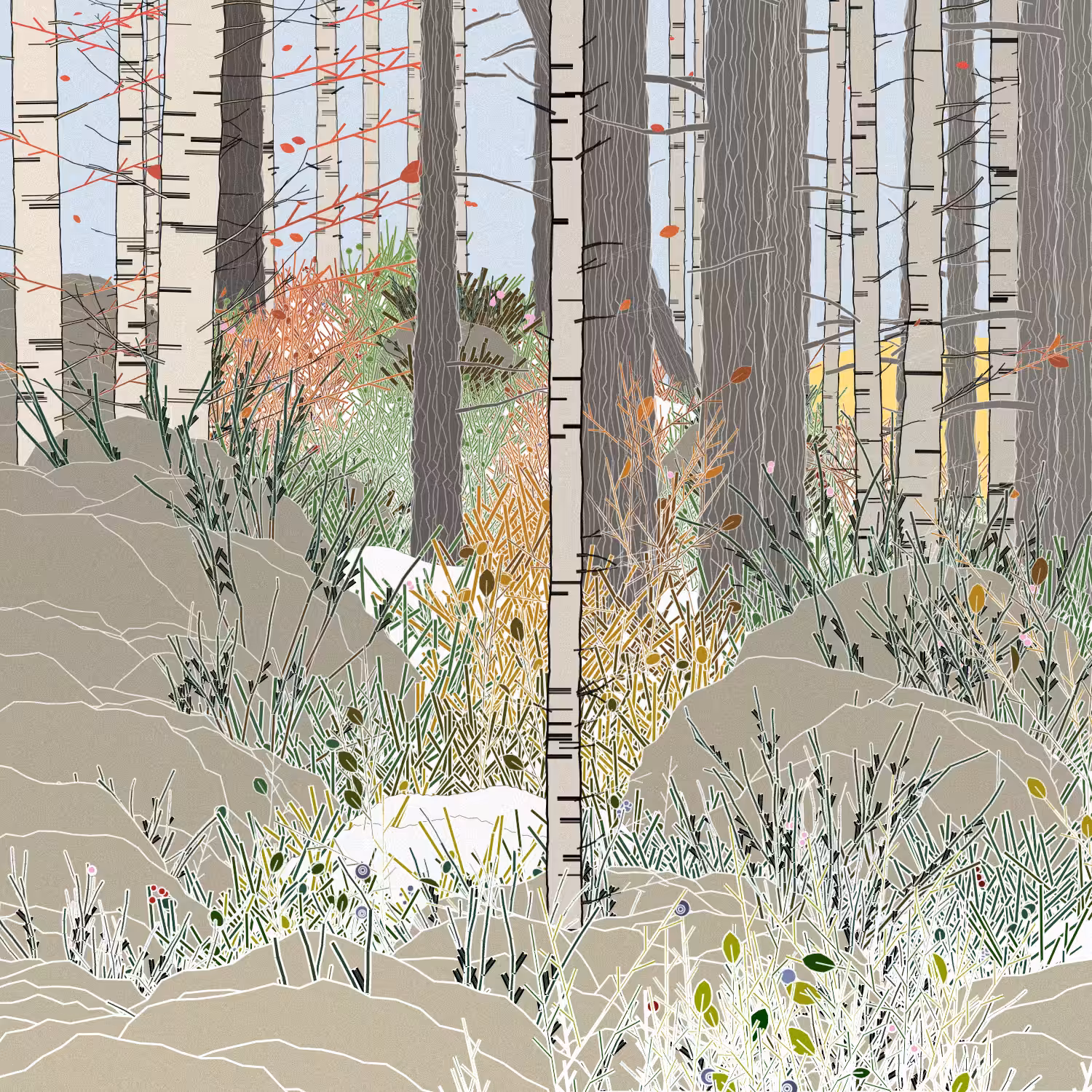 Swedish Forest #222