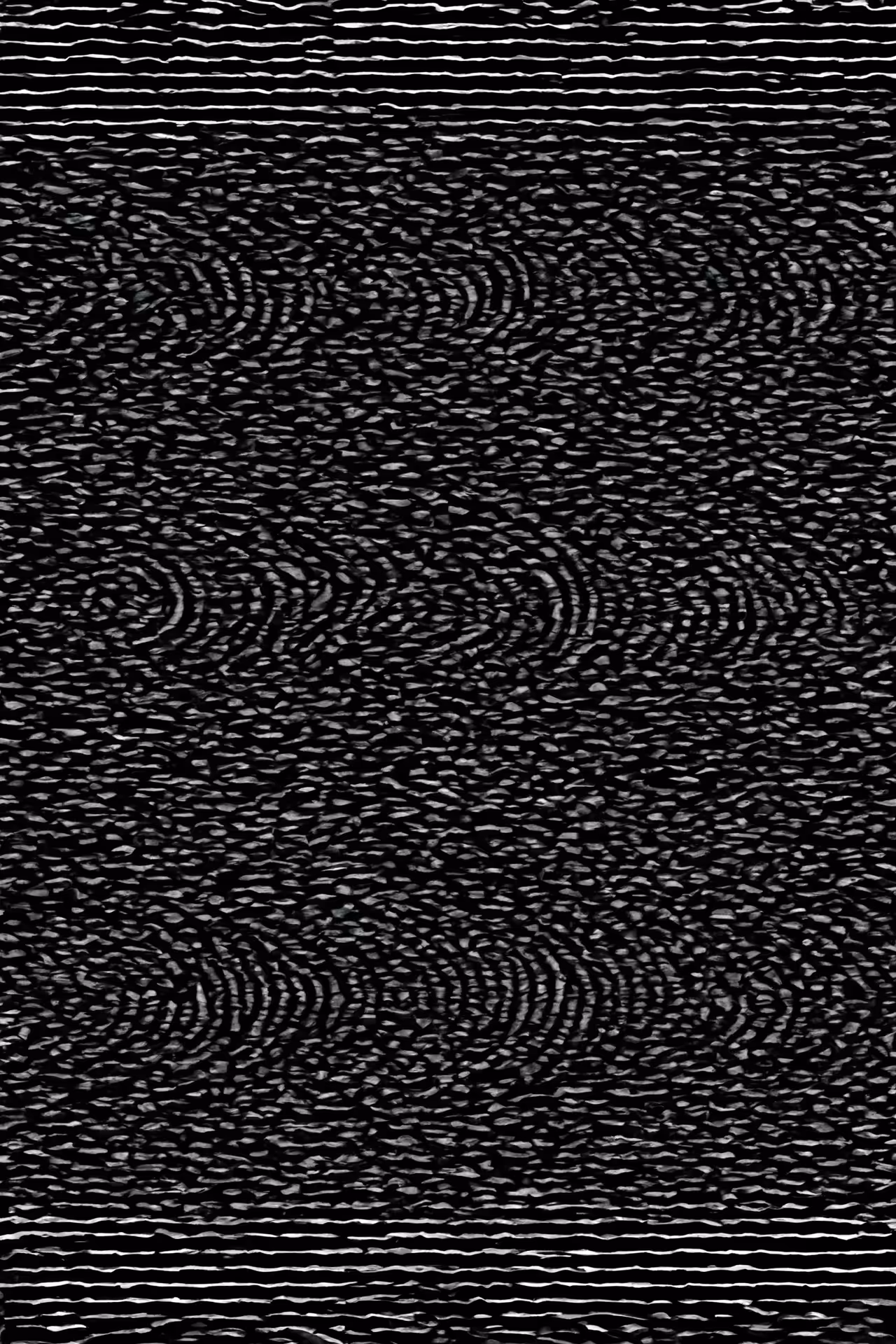 SIGNAL/NOISE (65)